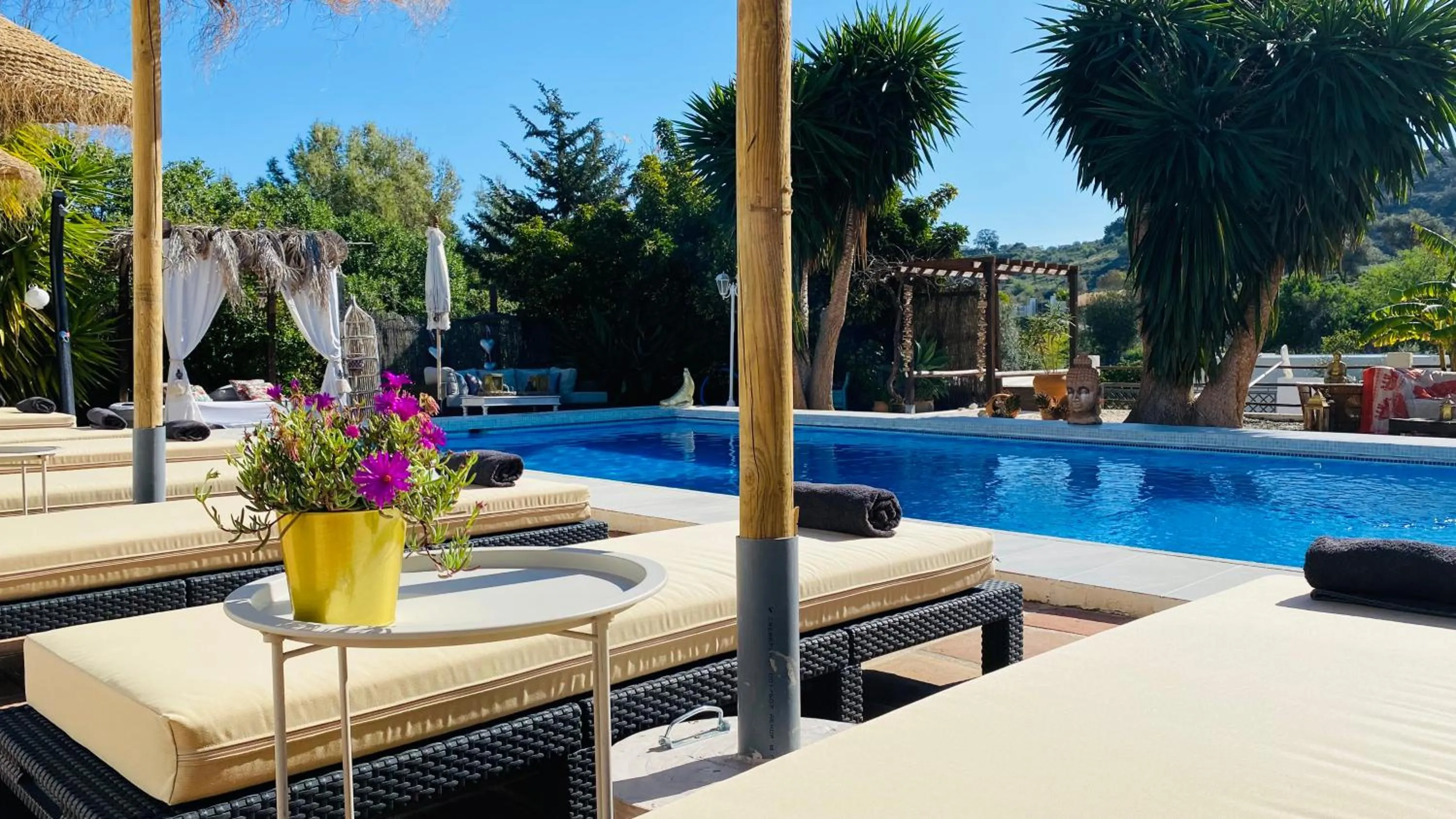 Swimming pool in Finca del Gecko