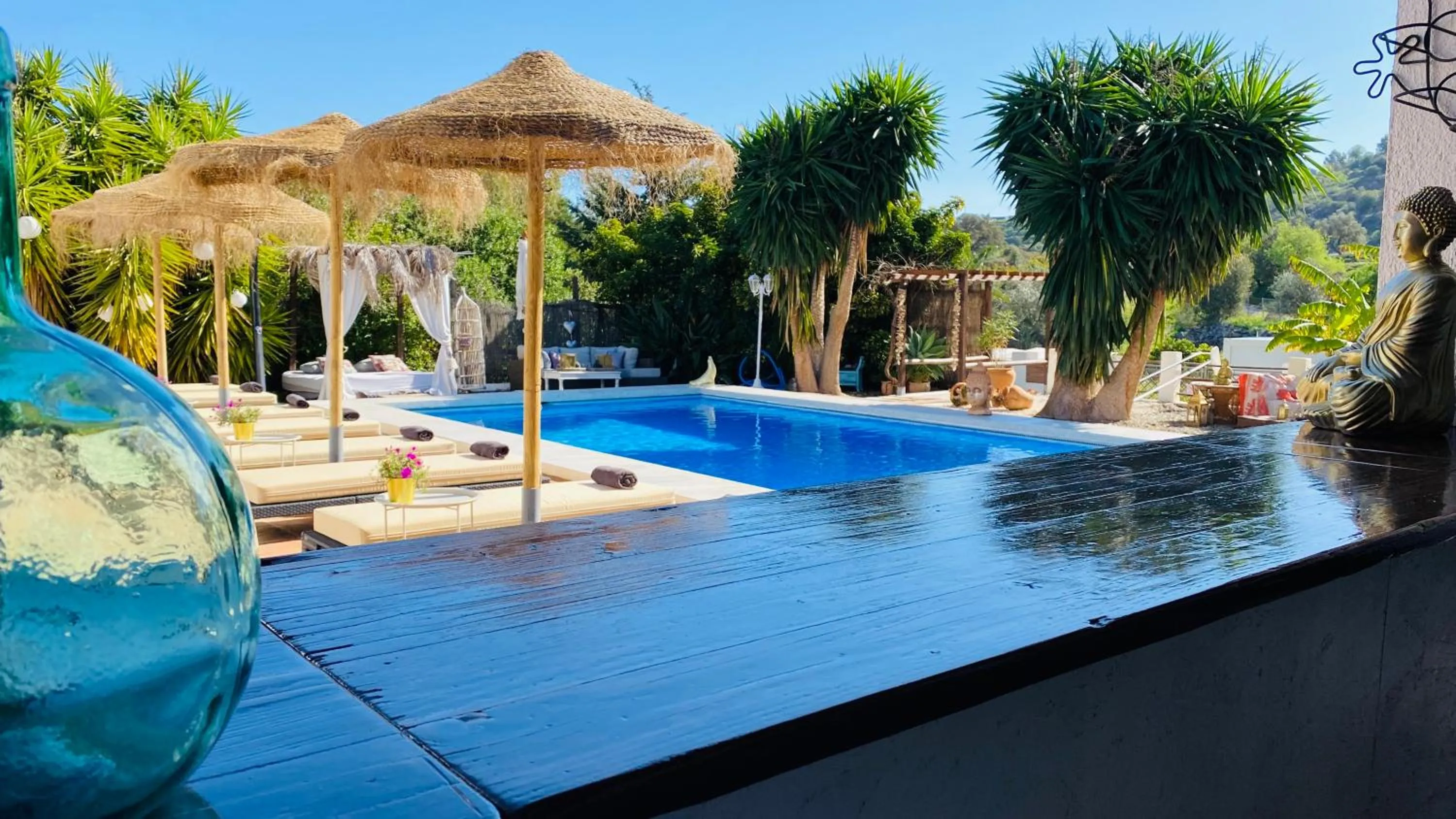 Swimming pool in Finca del Gecko