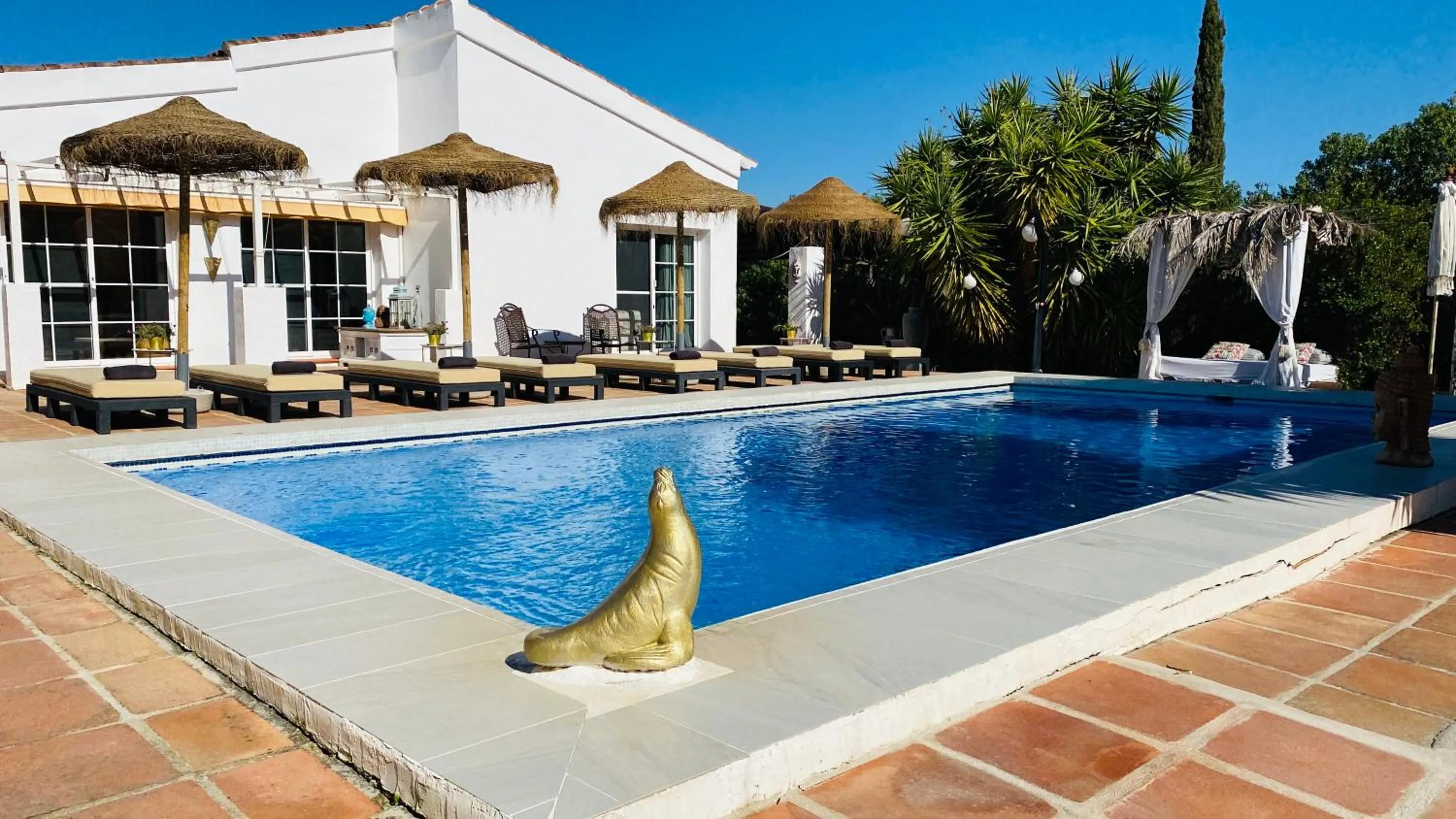 Swimming pool in Finca del Gecko