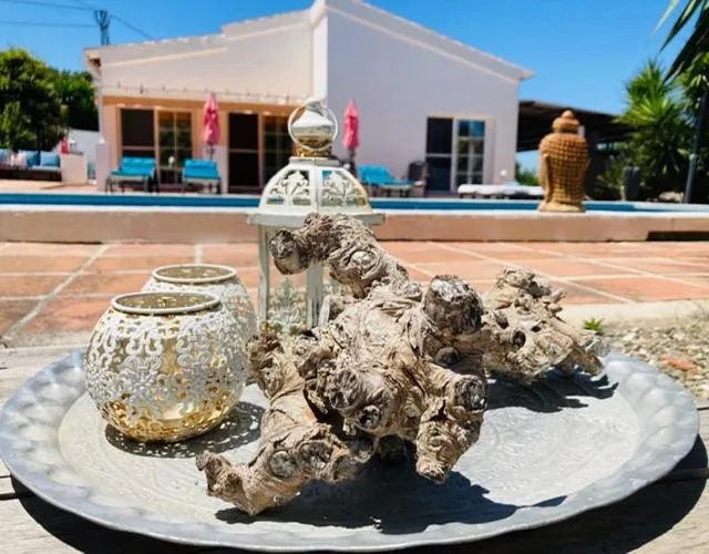 Day in Finca del Gecko