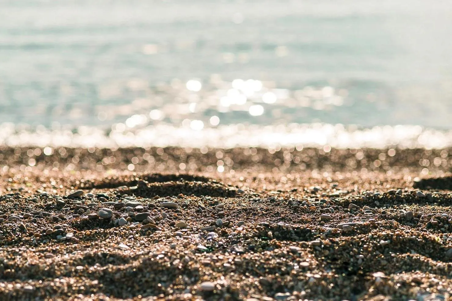 Natural landscape in NUMA HOTEL