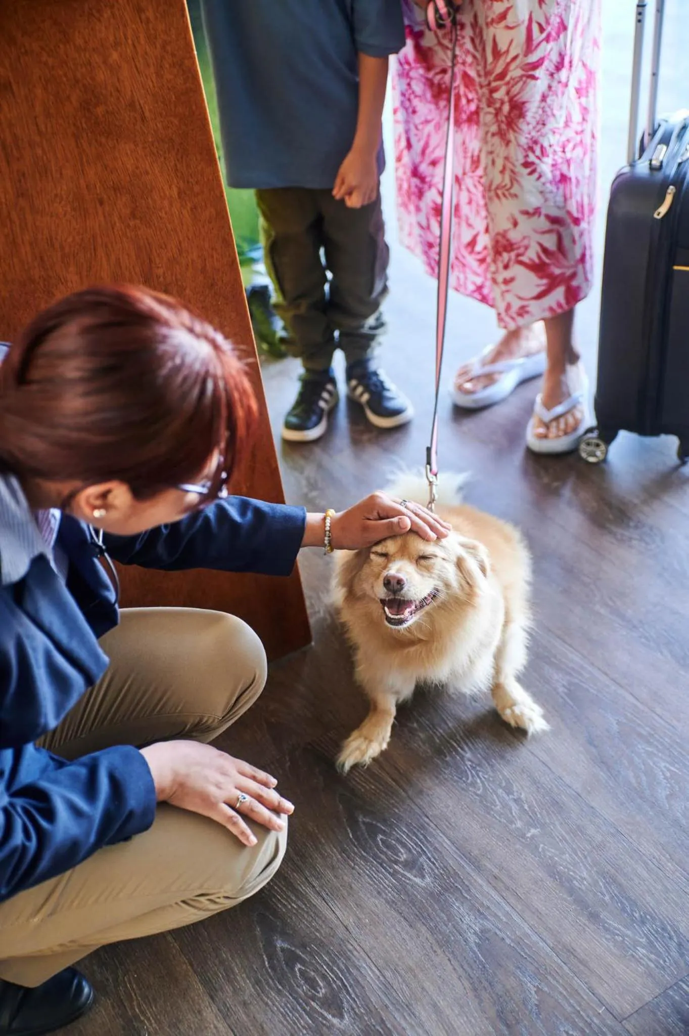 Pets in Casa Andina Select Paracas