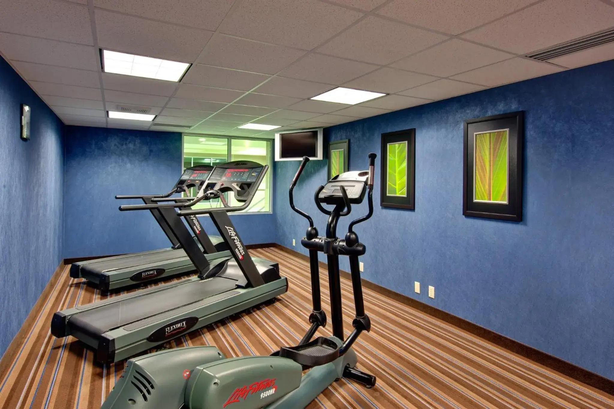 Fitness centre/facilities in Holiday Inn Express Hotel & Suites Chatham South by IHG Fitness centre/facilities in Holiday Inn Express Hotel & Suites Chatham South by IHG
