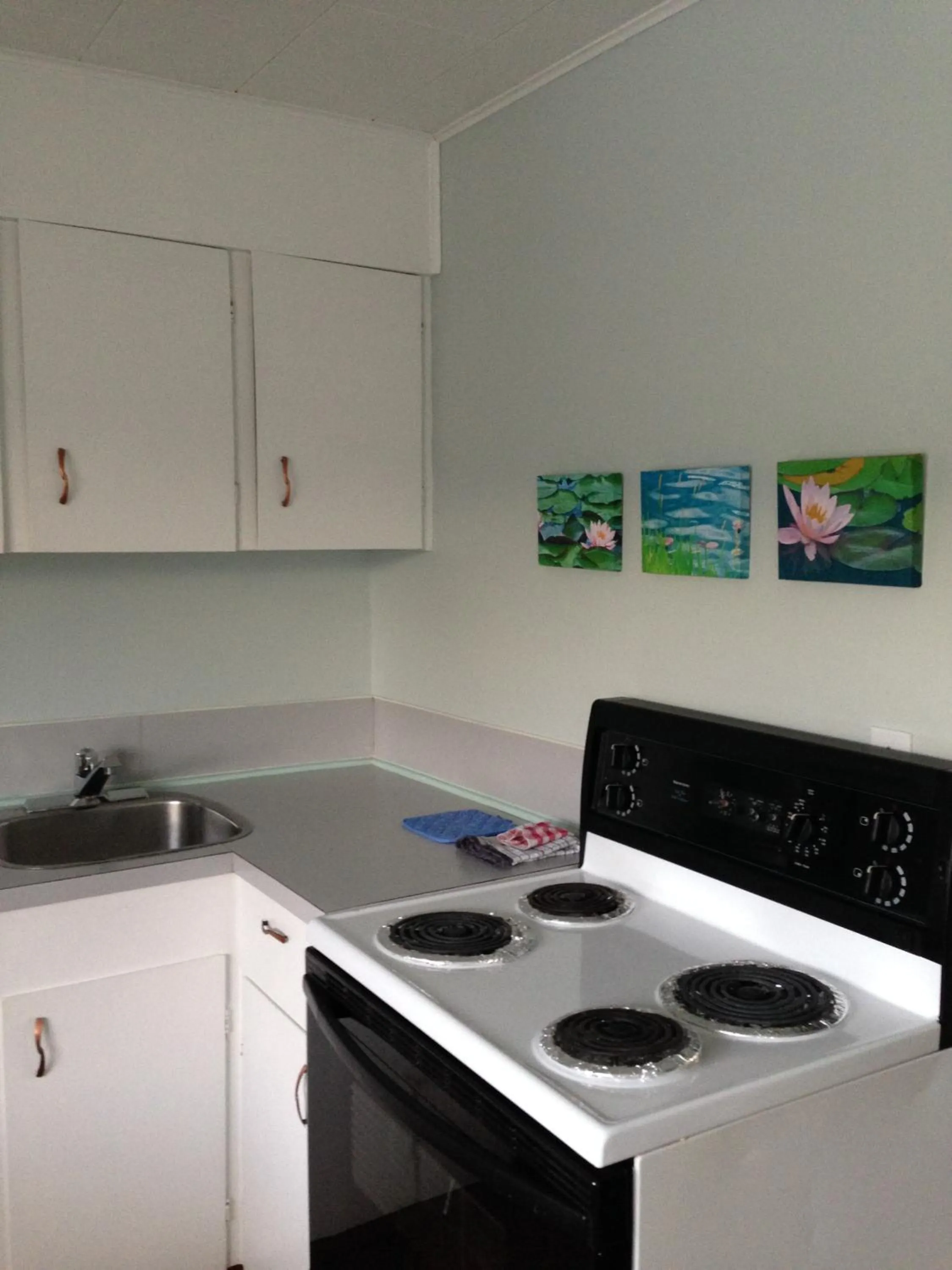 Kitchen or kitchenette in Jasper Way Inn Resort & Campground