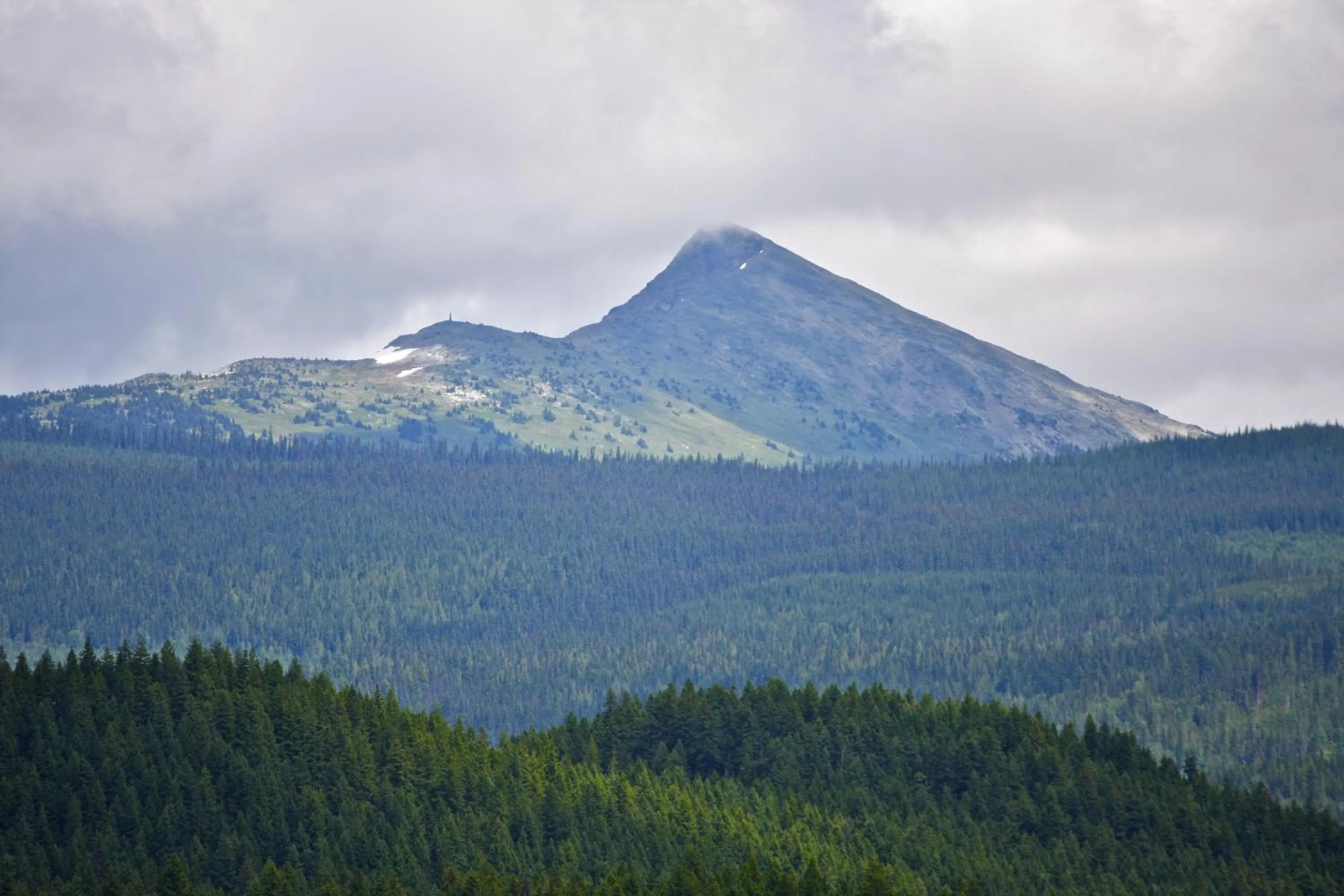 Area and facilities in Jasper Way Inn Resort & Campground
