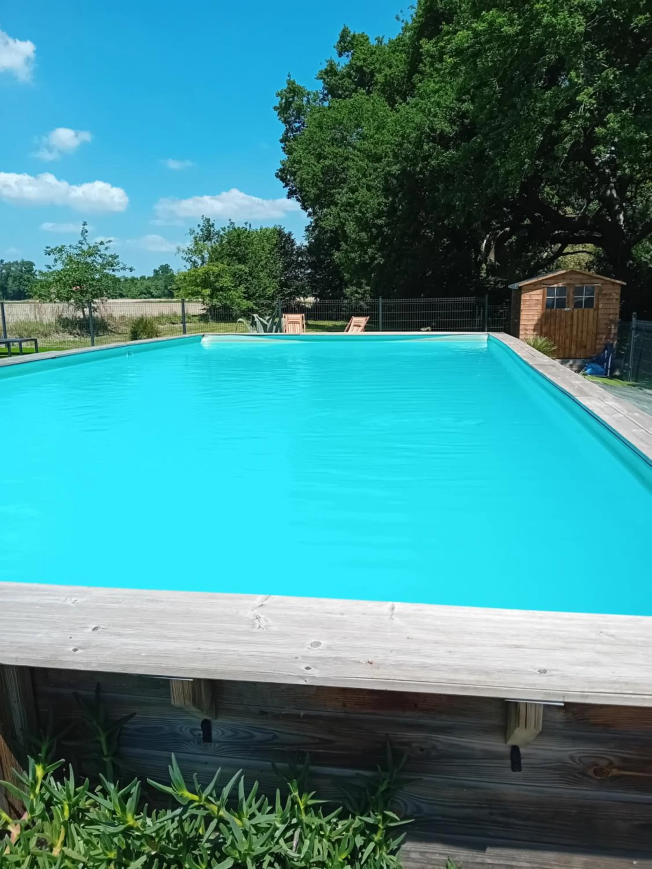 Swimming pool in La maison de pescate