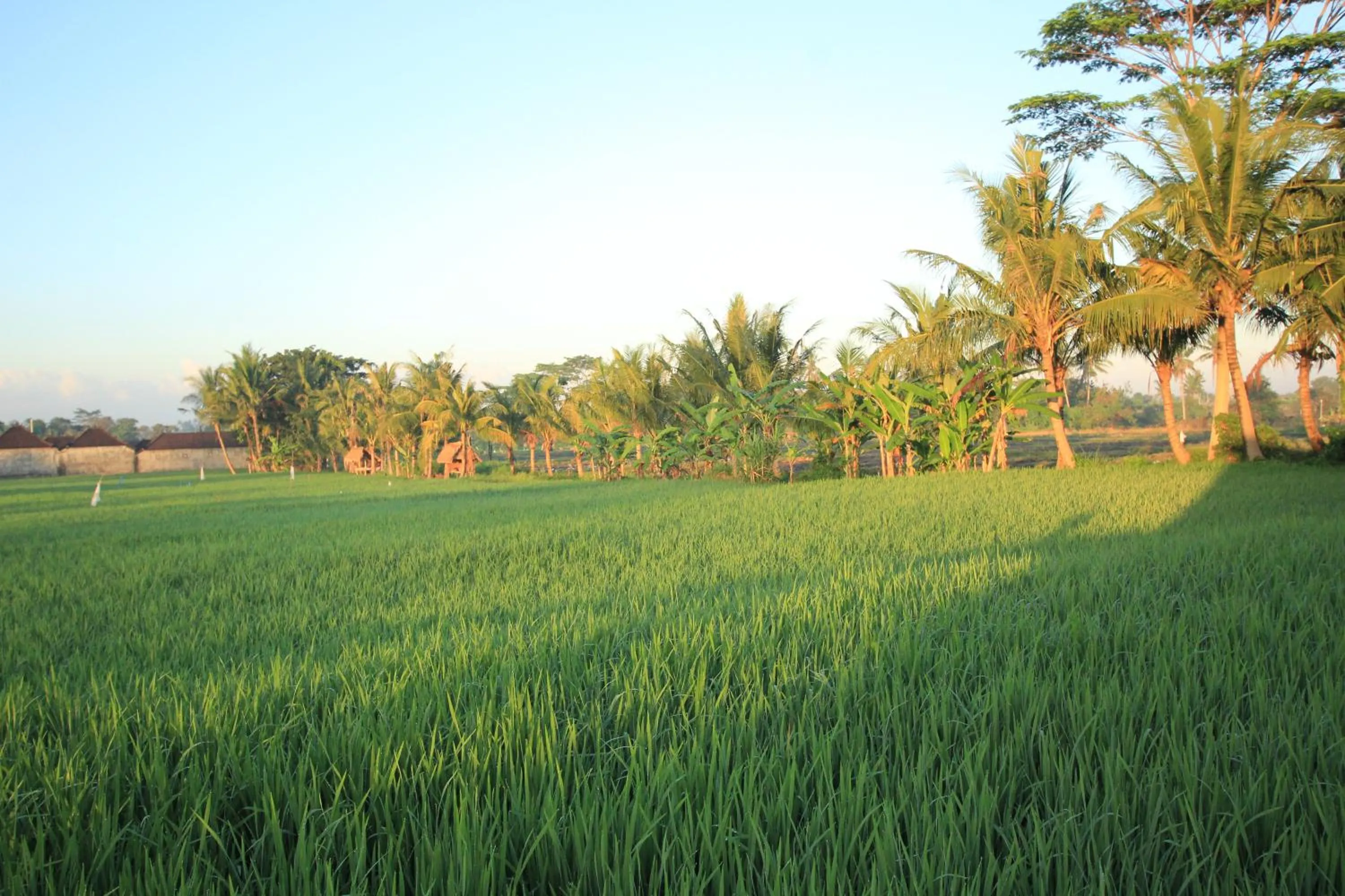 Property building in Ayuna Family Ubud