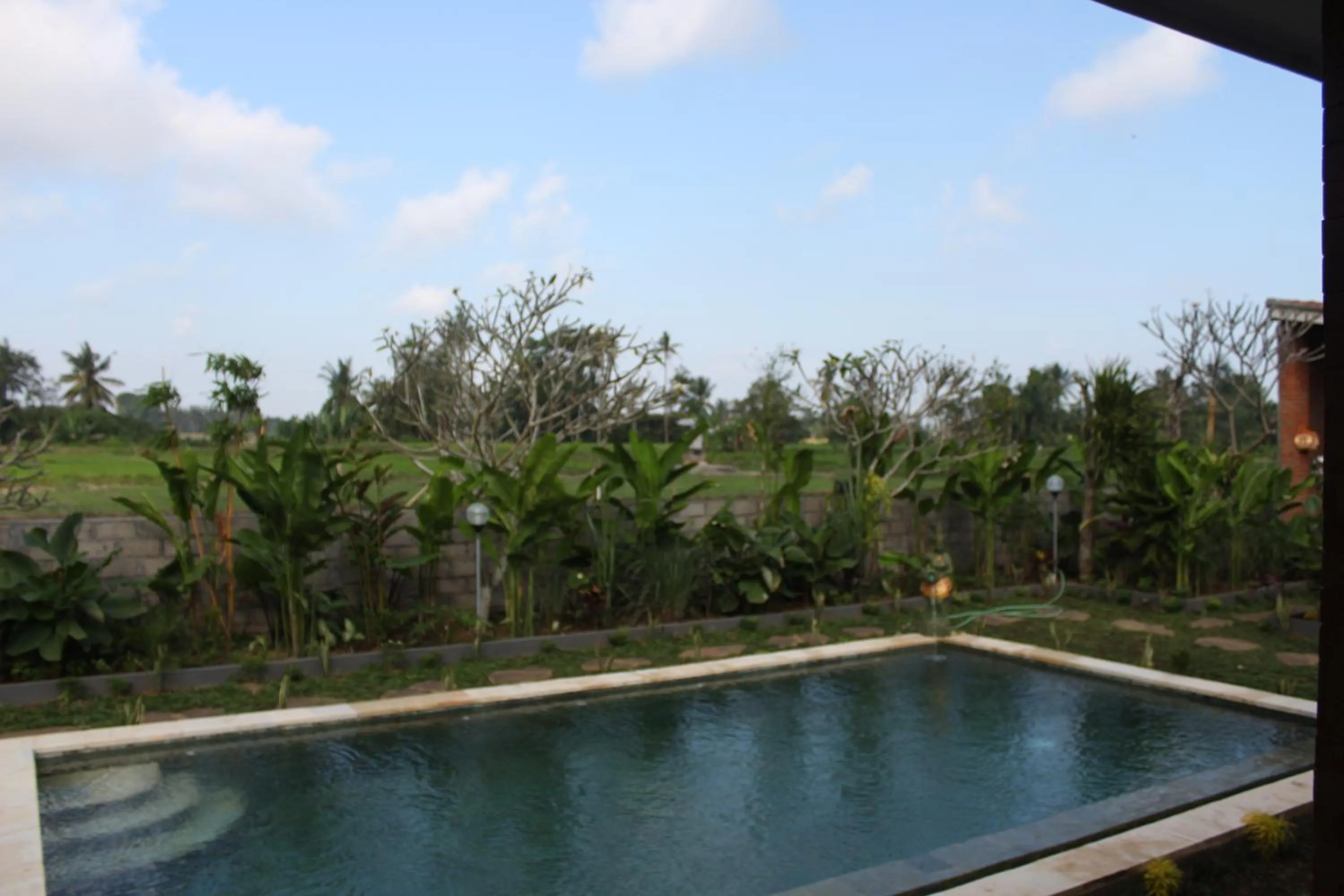 Pool view in Ayuna Family Ubud