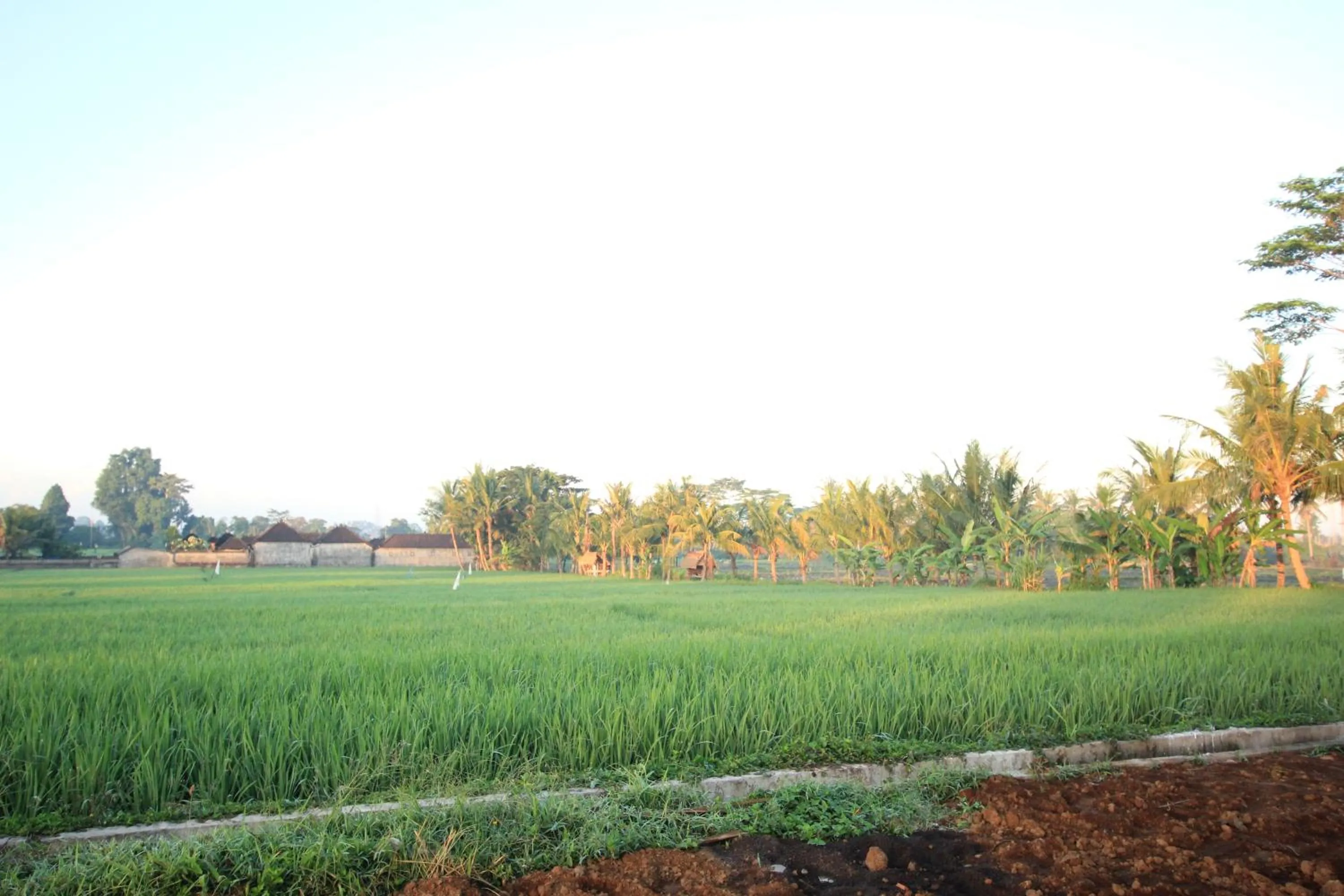 Property building in Ayuna Family Ubud