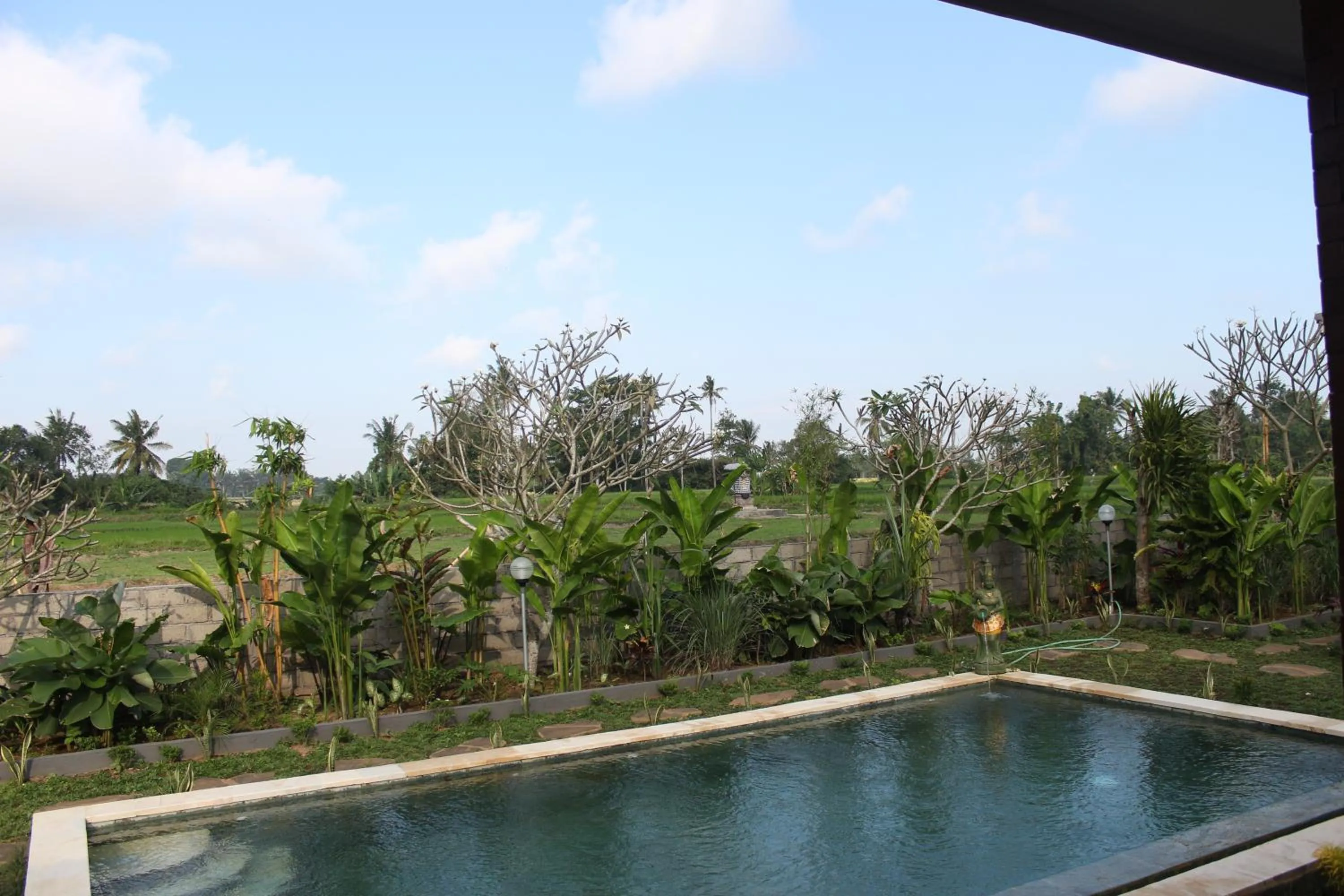 Natural landscape in Ayuna Family Ubud