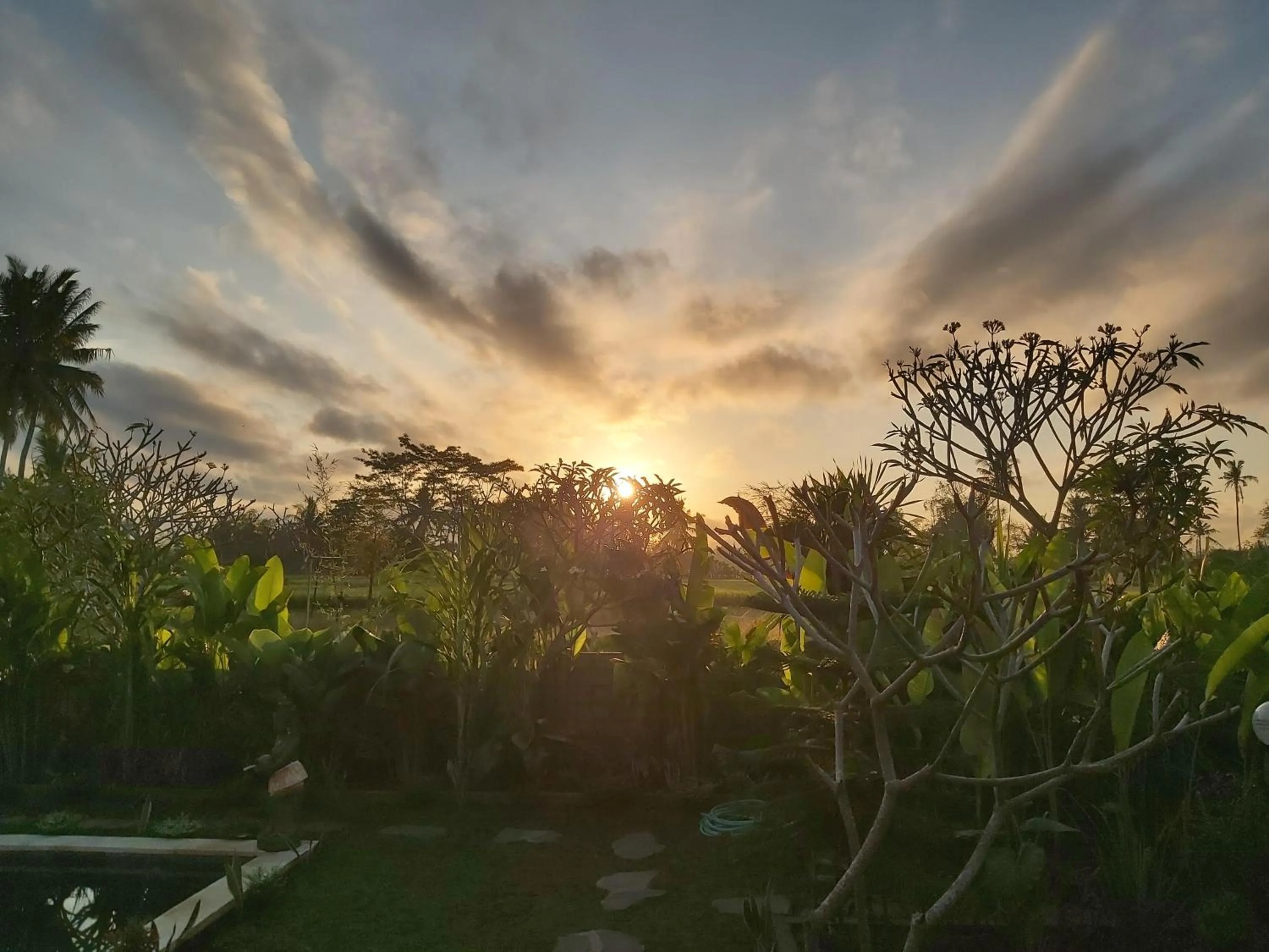 Pool view in Ayuna Family Ubud