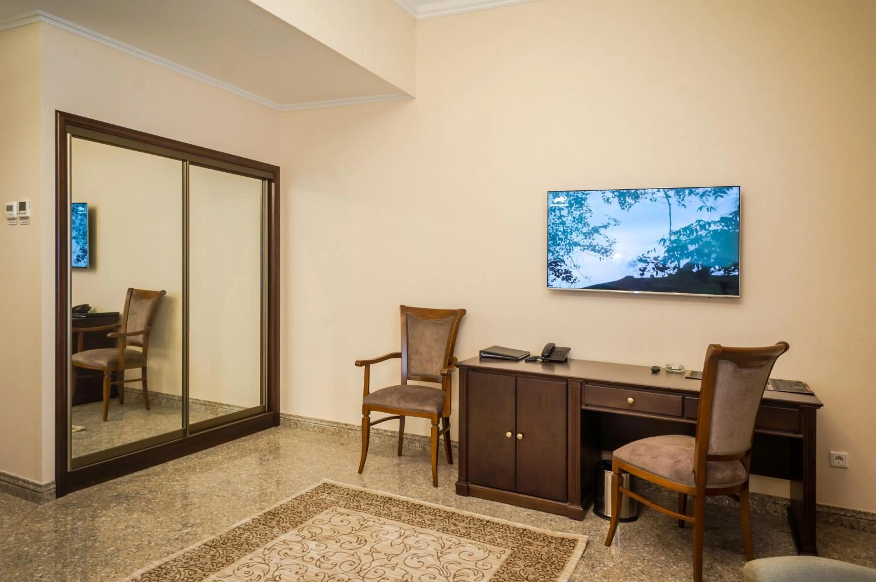 TV and multimedia in Royal Plus Hotel