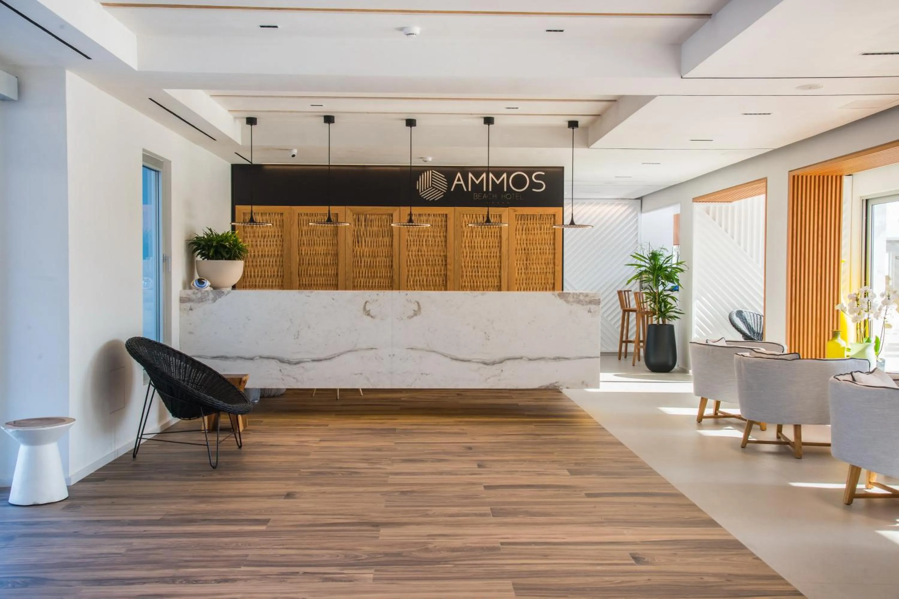 Lobby or reception in Enorme Ammos Beach