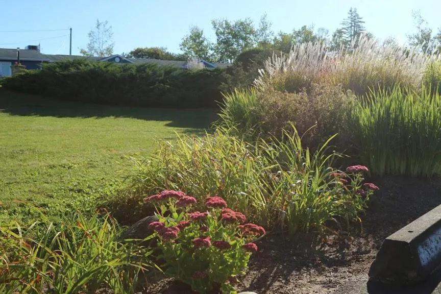 Garden in Coastal Inn - Kingfisher
