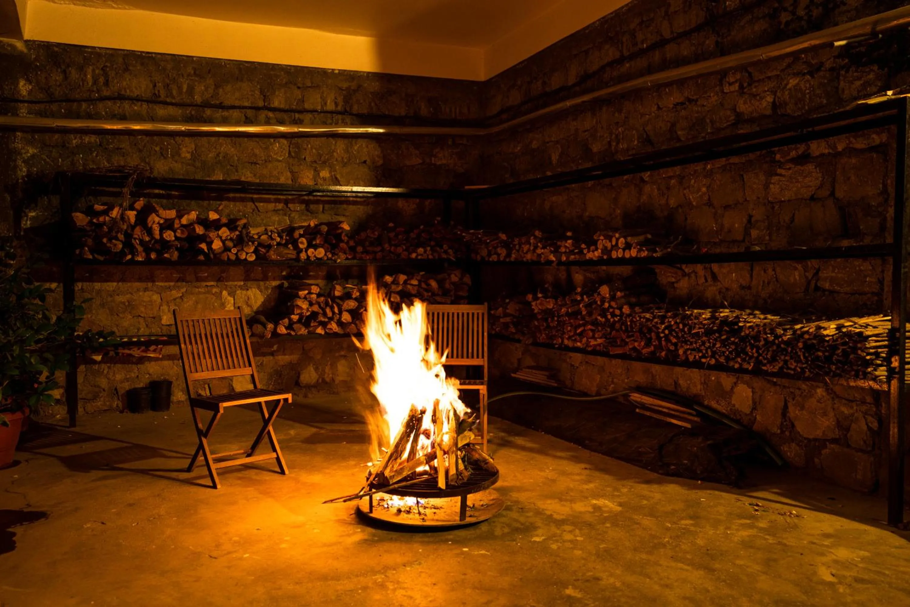 Activities in Tree of Life Junoon in the Hills Kumaon