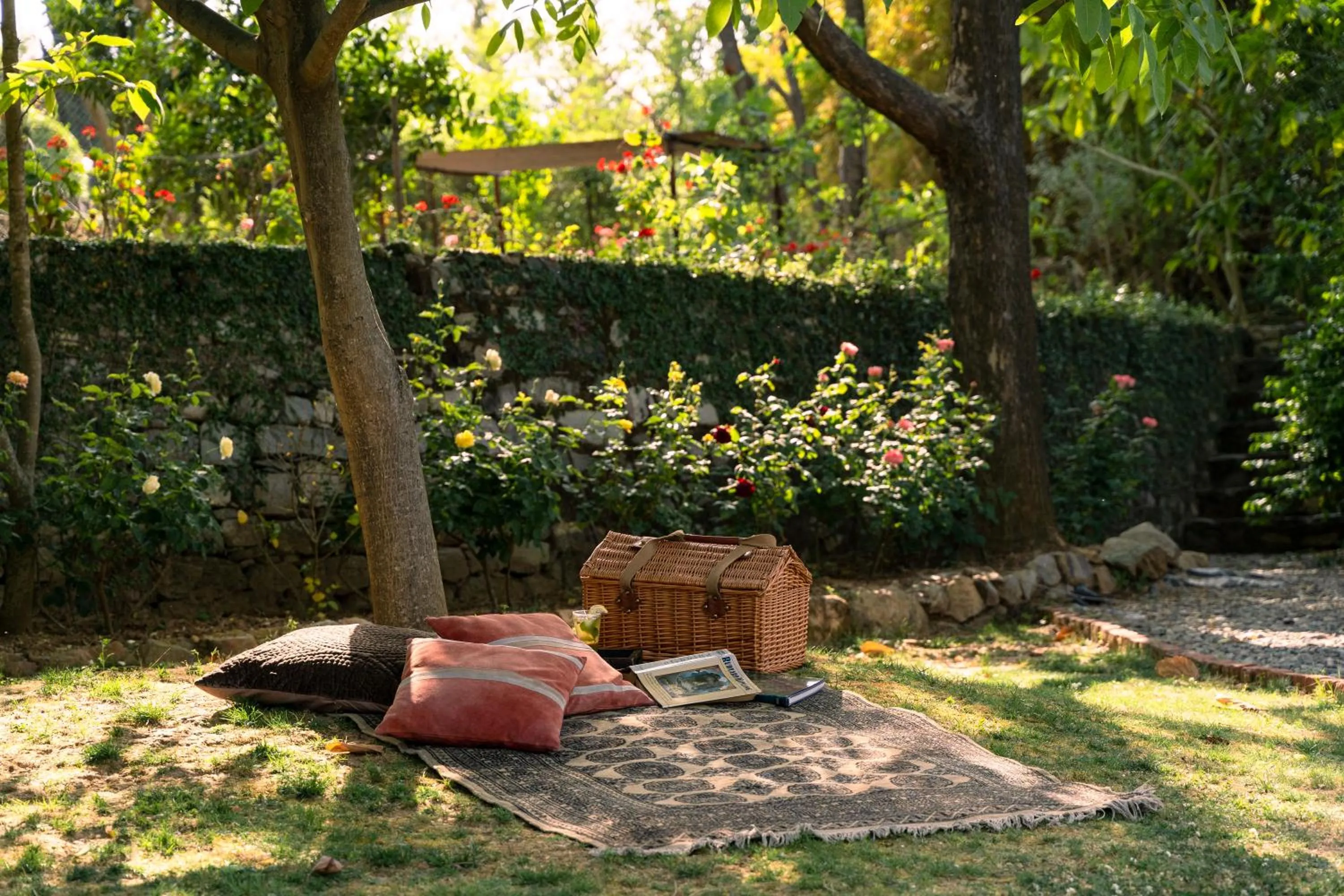 Seating area in Tree of Life Junoon in the Hills Kumaon