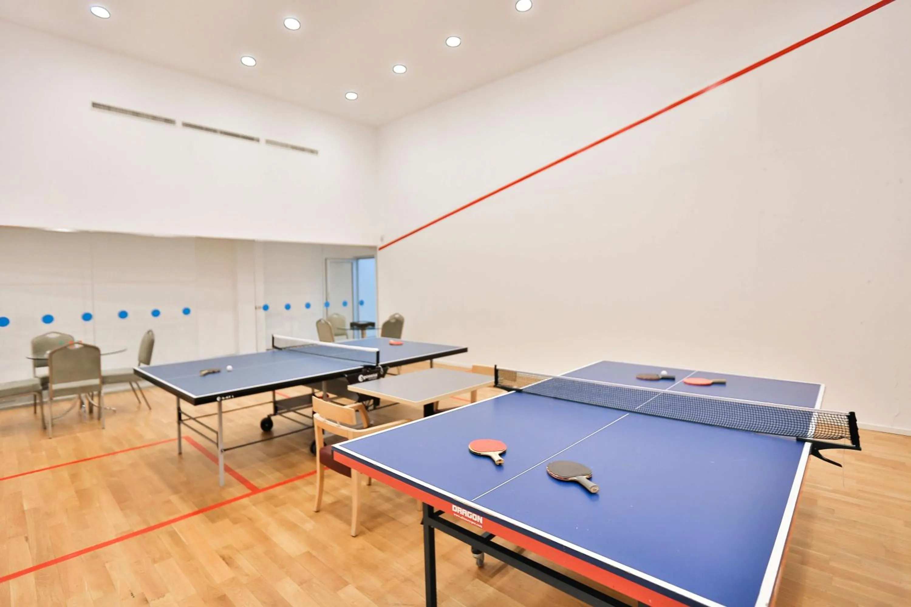 Table tennis in Eliz Hotel Convention Center Thermal Spa & Wellnes