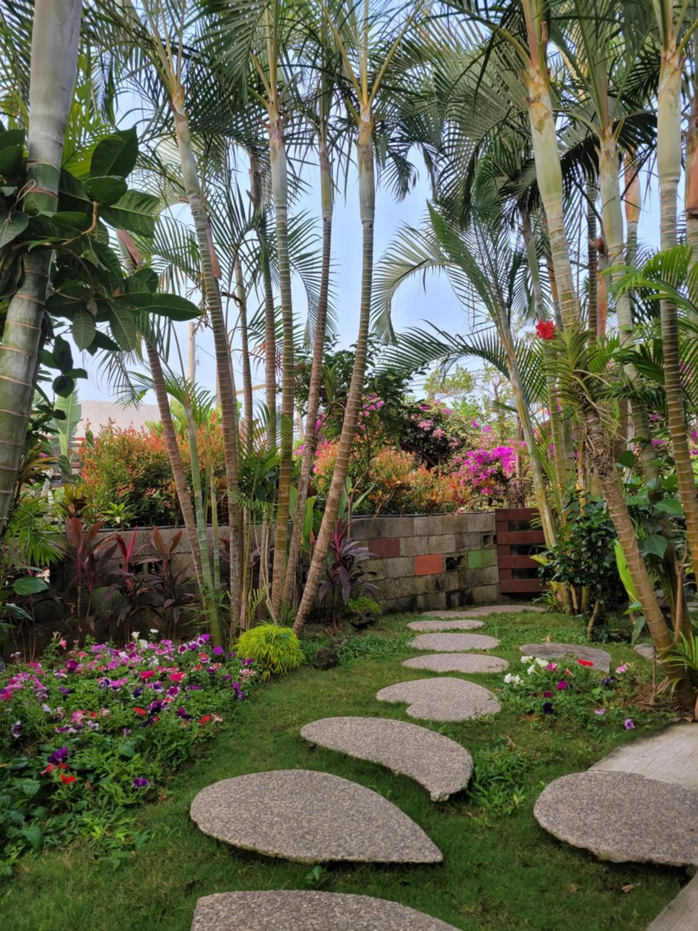 Little Ryukyu Hermit Crab Homestay