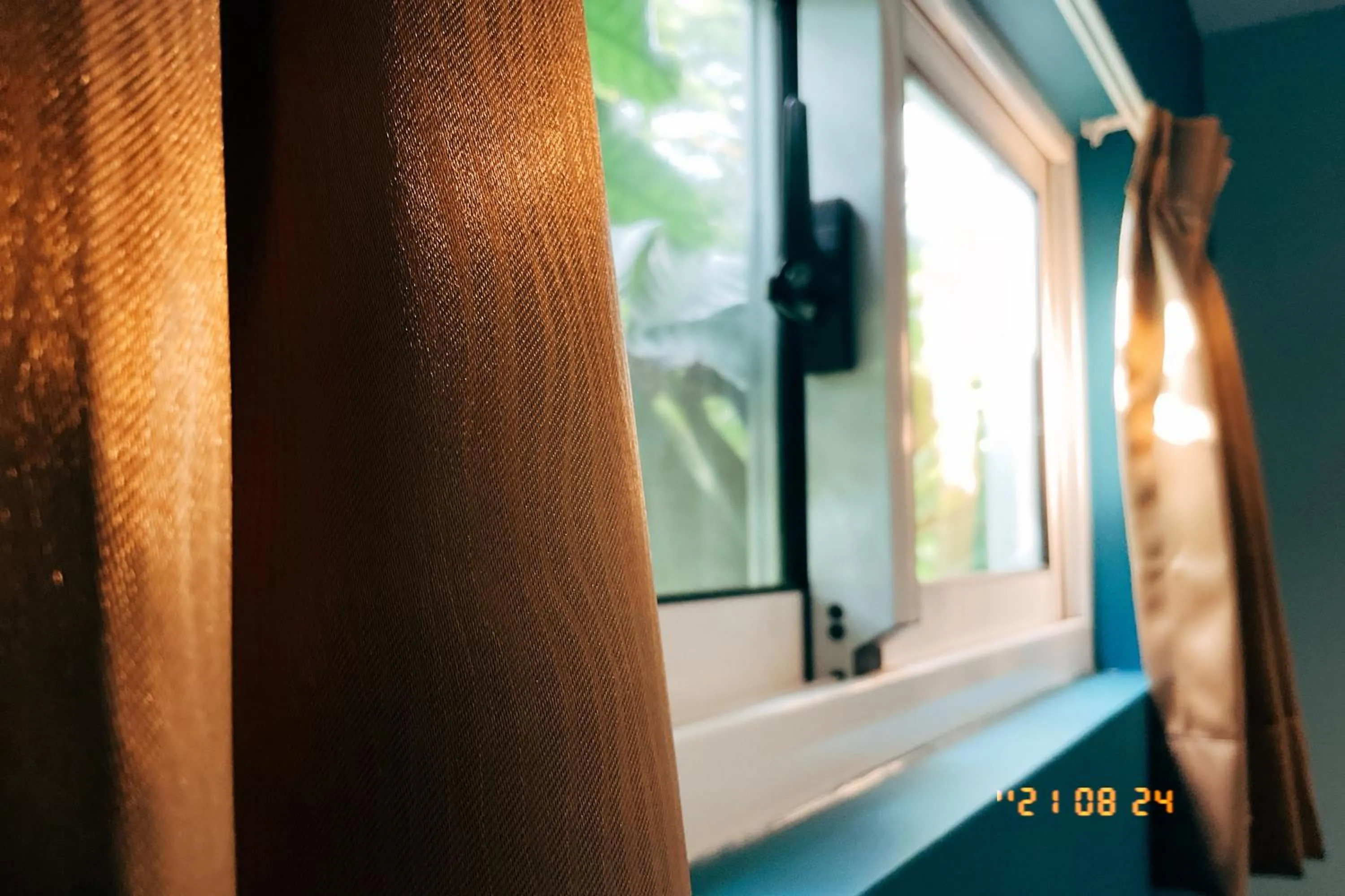 Little Ryukyu Hermit Crab Homestay
