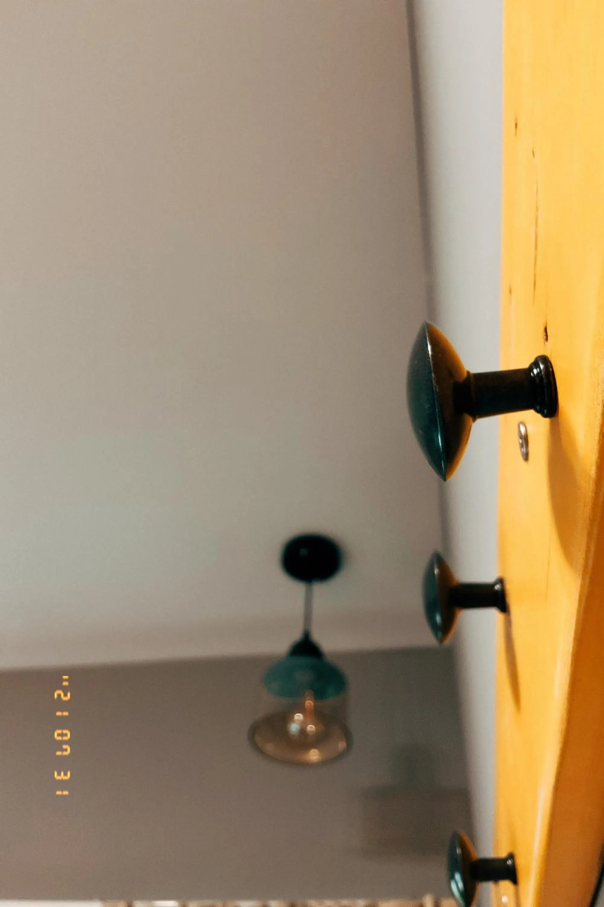 Little Ryukyu Hermit Crab Homestay
