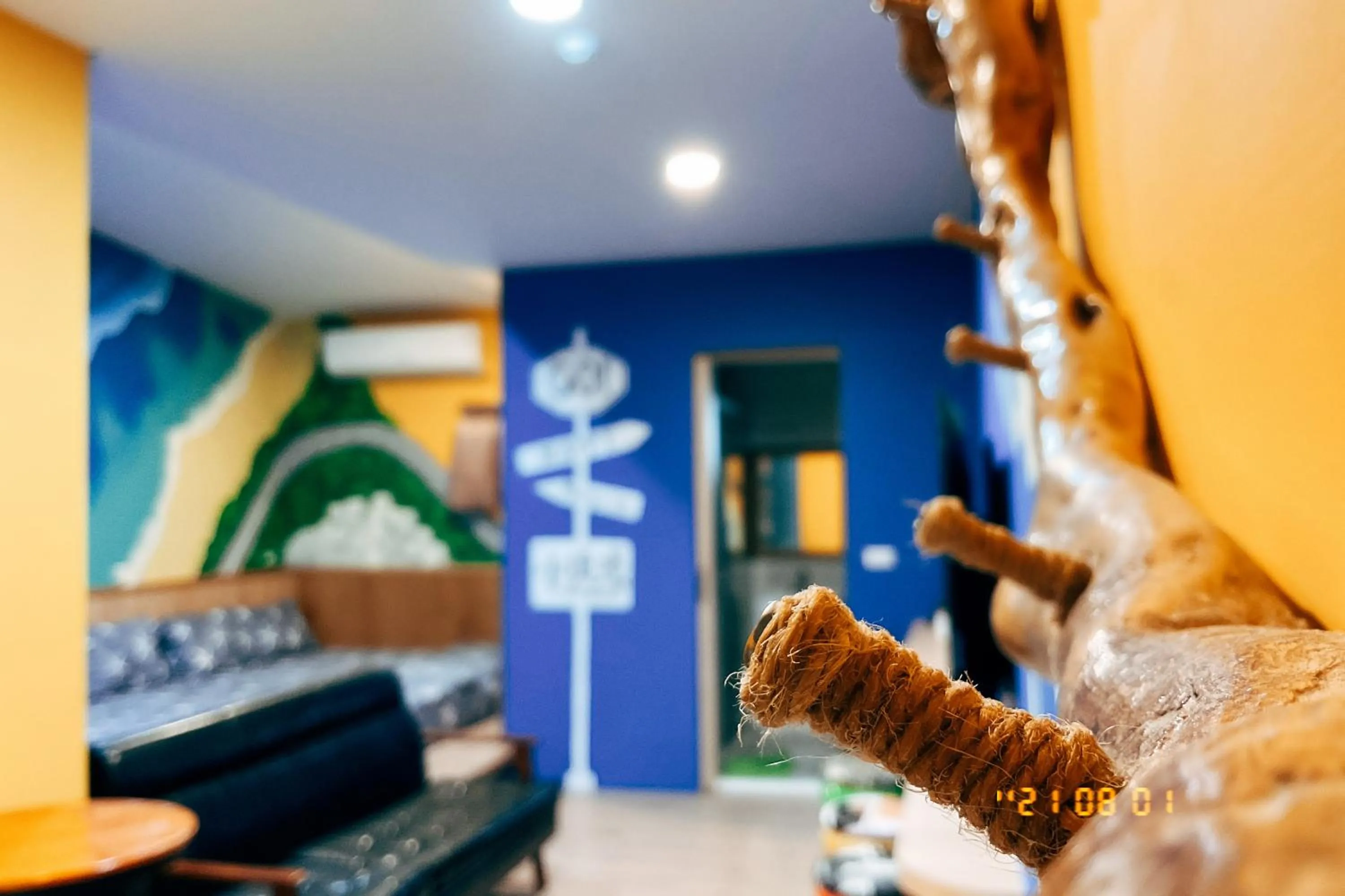 Little Ryukyu Hermit Crab Homestay