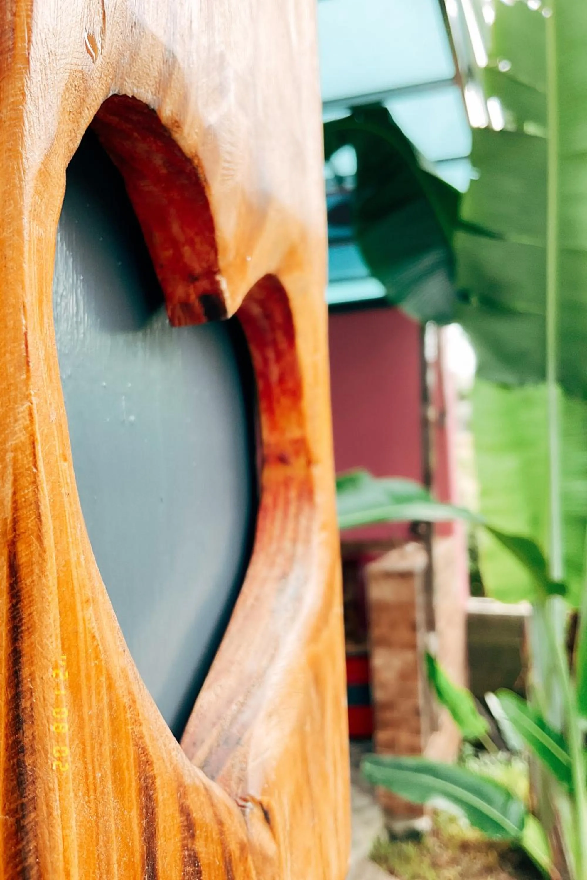 Little Ryukyu Hermit Crab Homestay