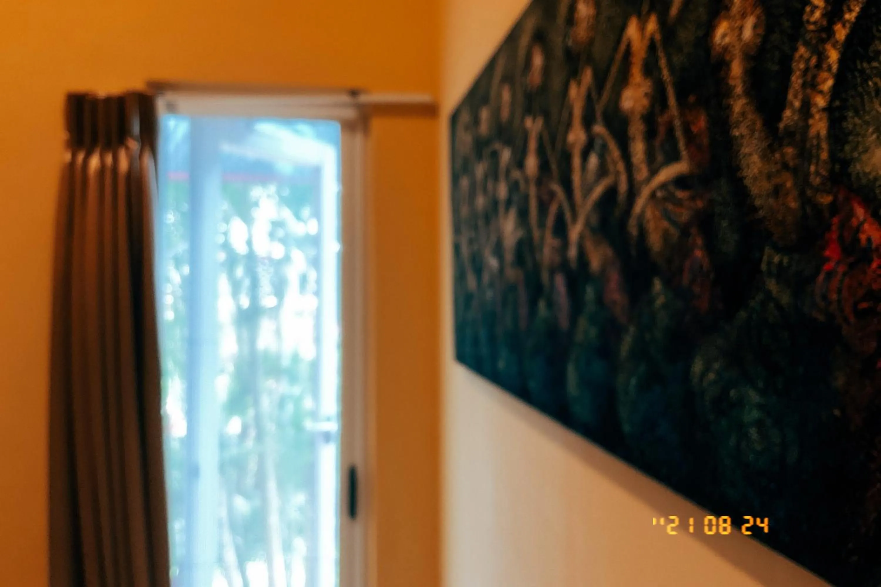 Little Ryukyu Hermit Crab Homestay