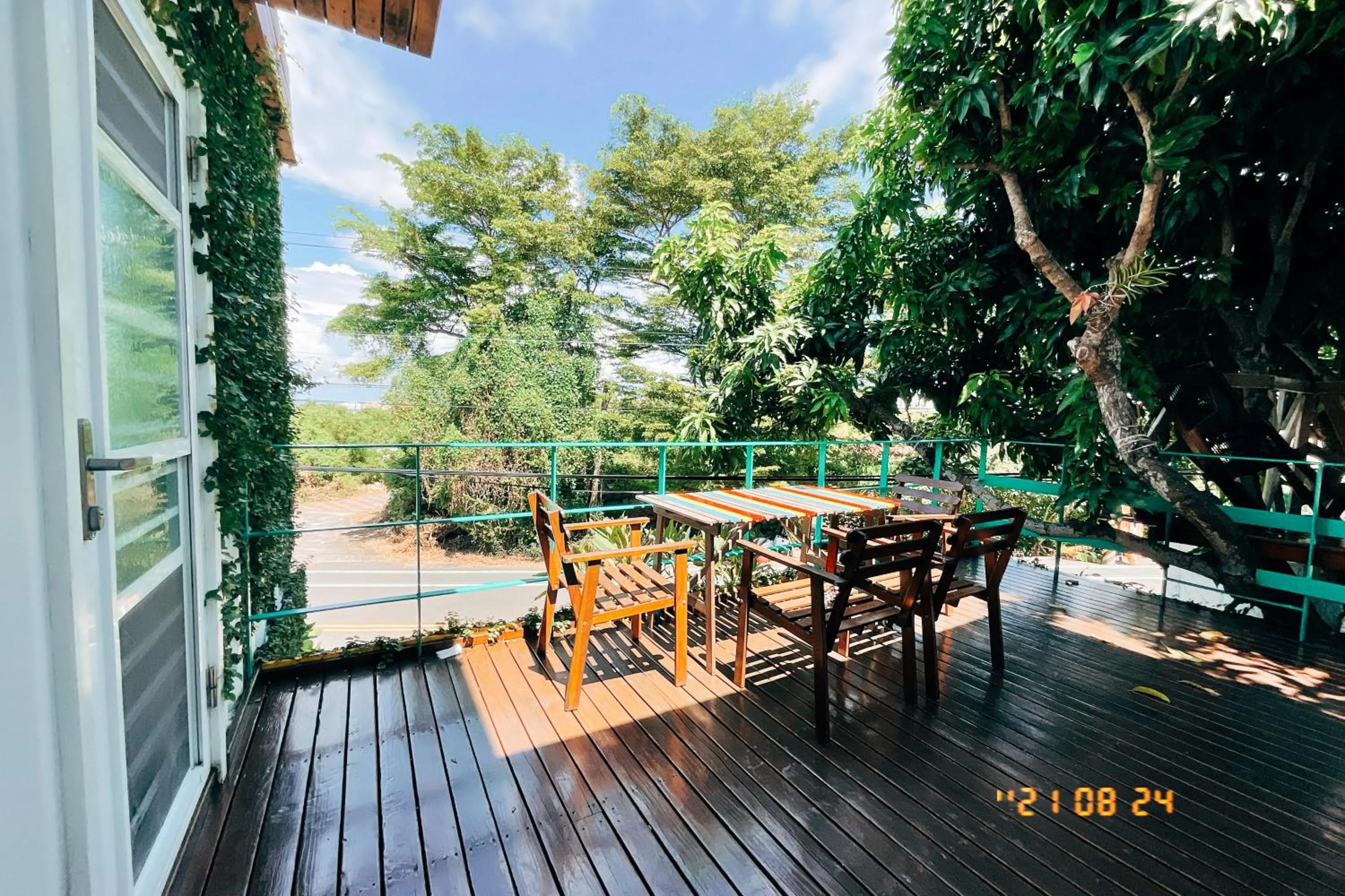 Little Ryukyu Hermit Crab Homestay