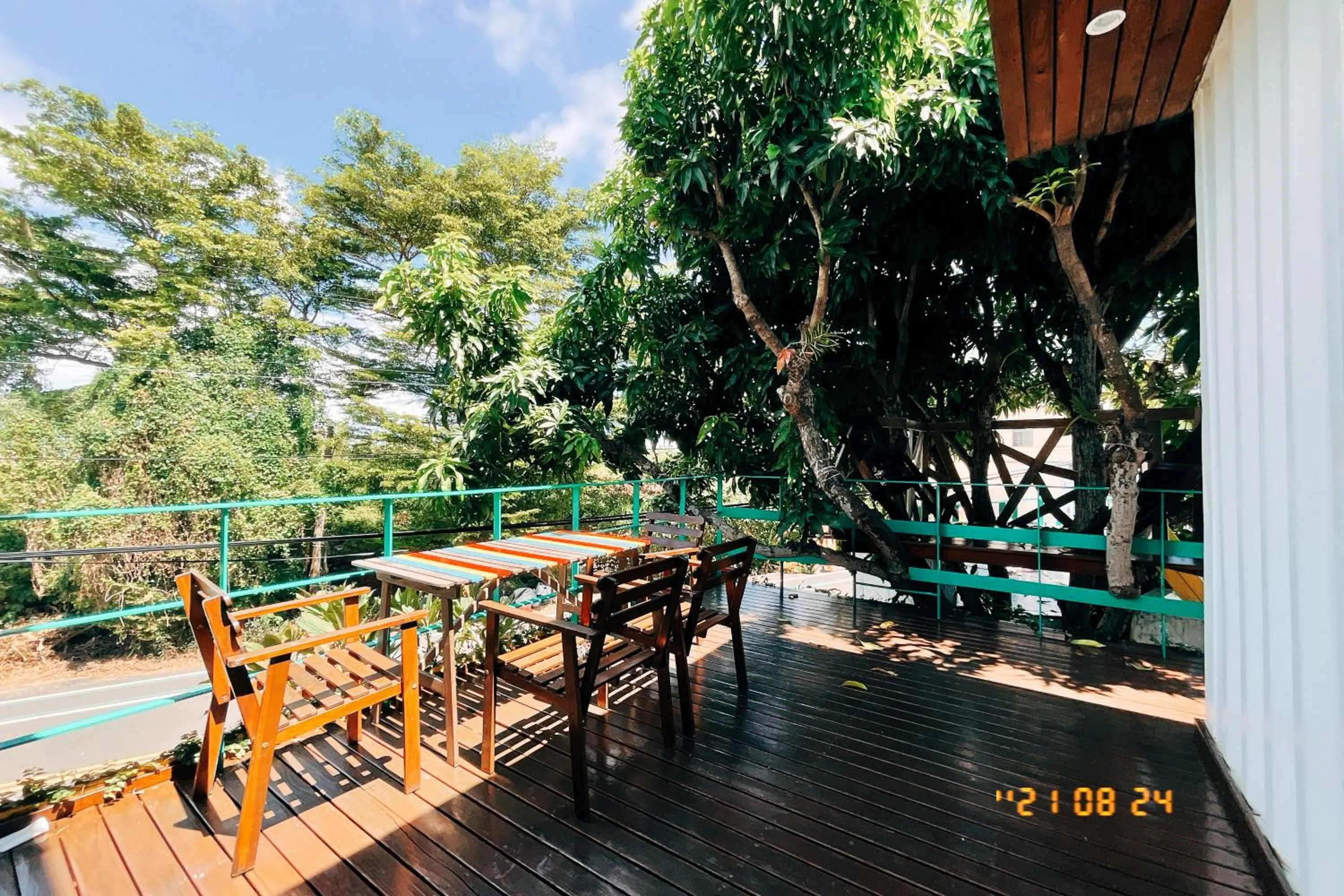 Little Ryukyu Hermit Crab Homestay