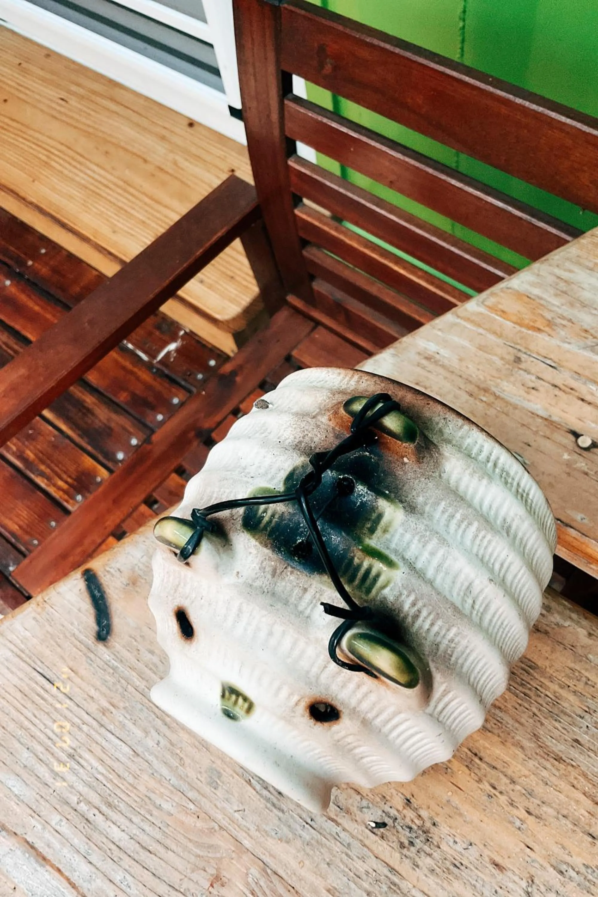 Little Ryukyu Hermit Crab Homestay