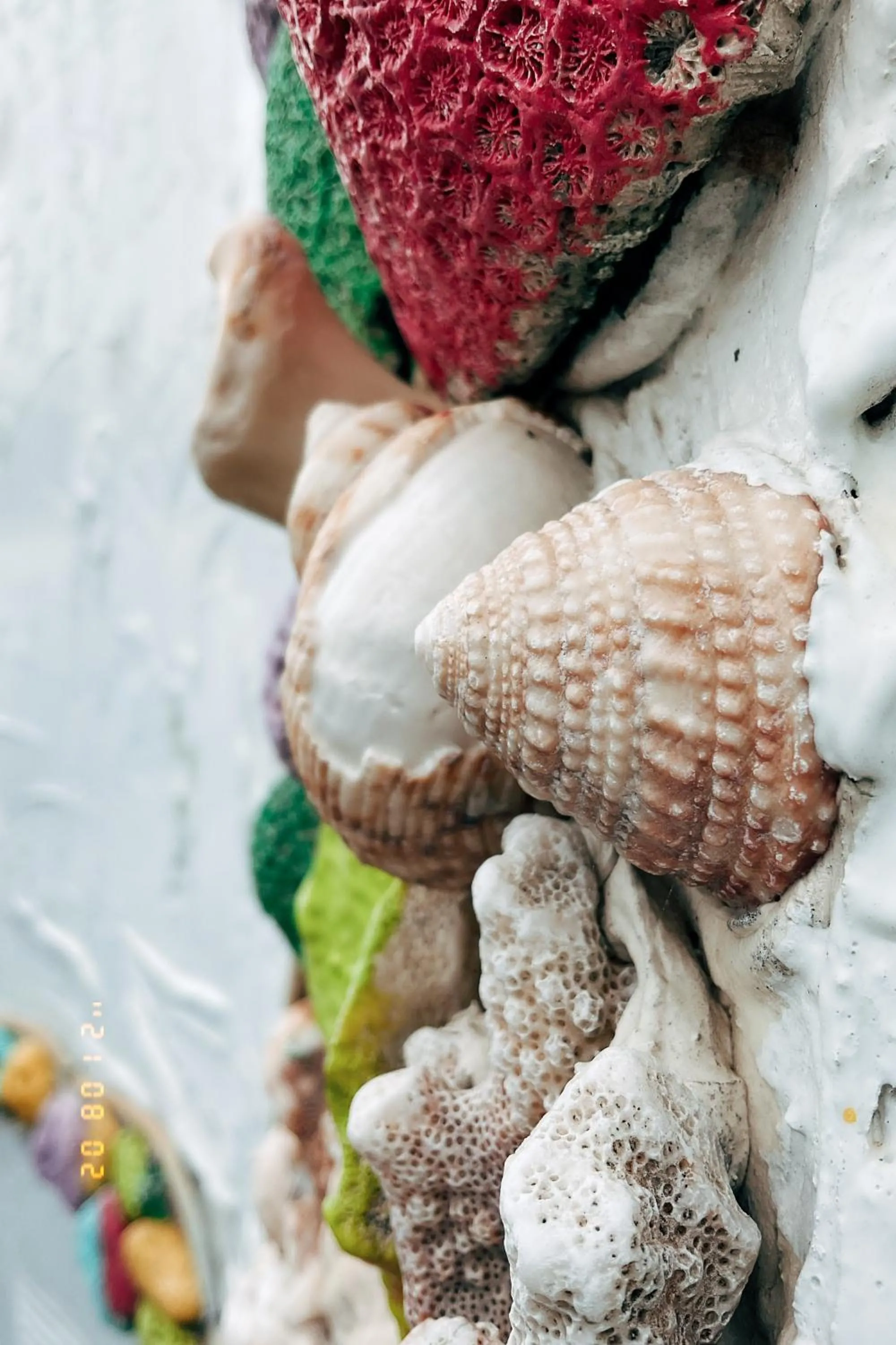 Little Ryukyu Hermit Crab Homestay