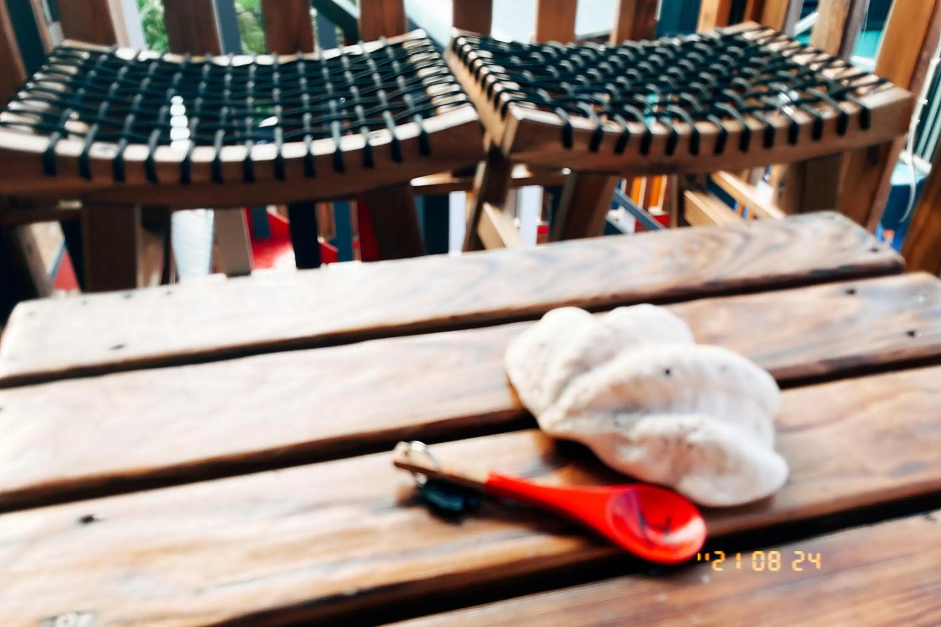 Little Ryukyu Hermit Crab Homestay