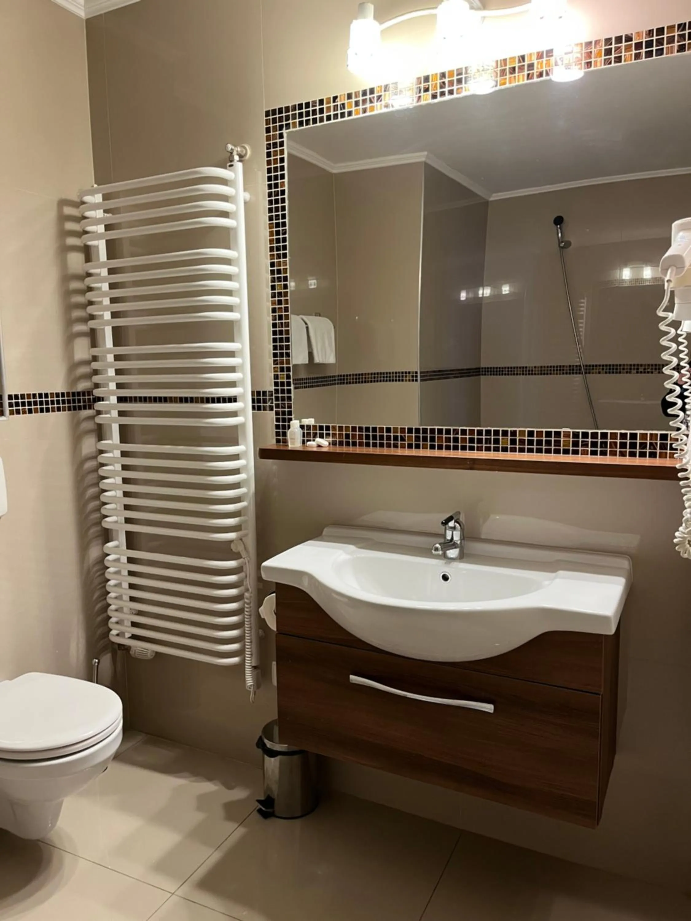 Shower in Noclegi Hit Rooms & Apartments