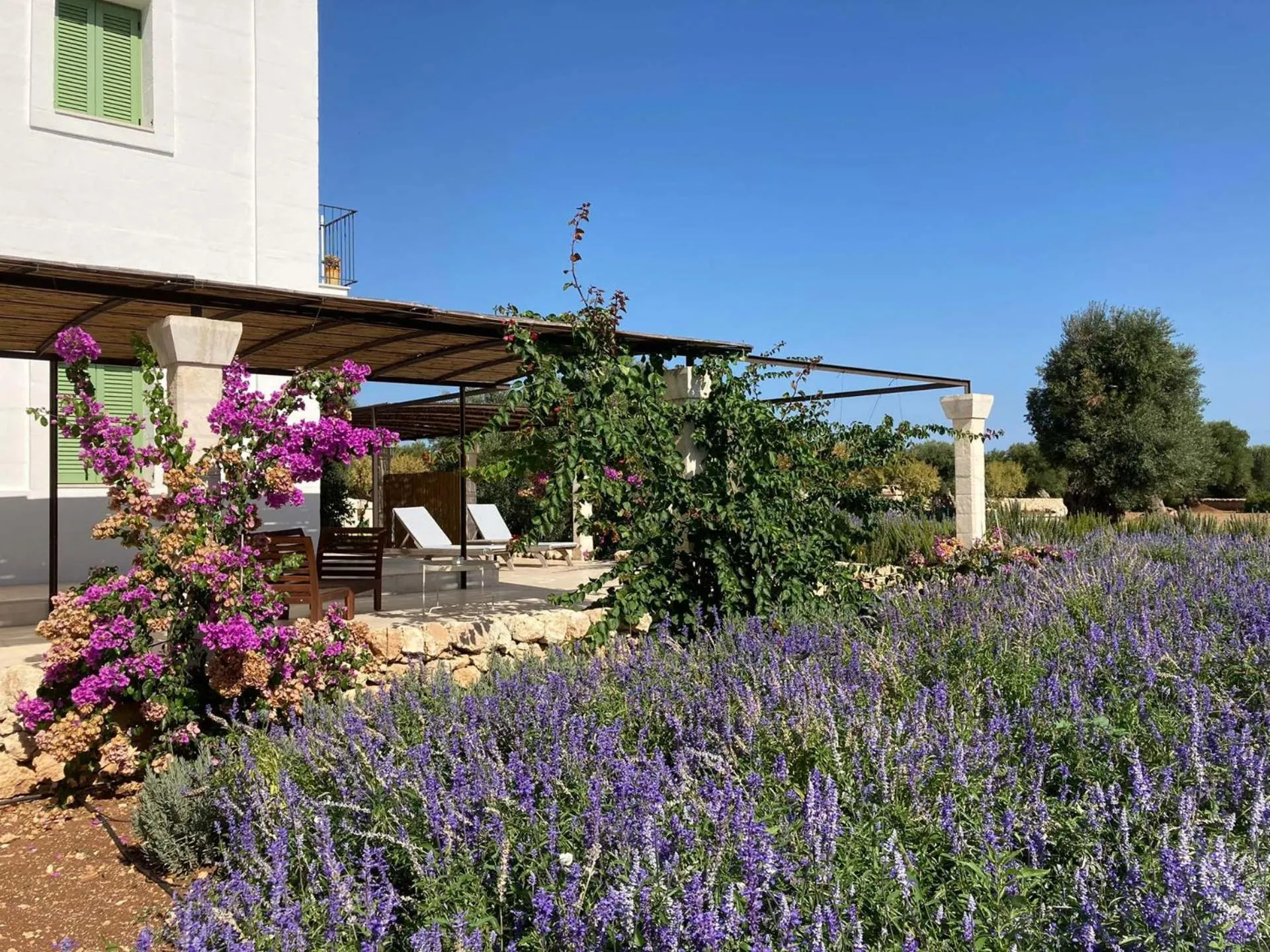 Garden in Boutique Hotel Masseria Sottomasi