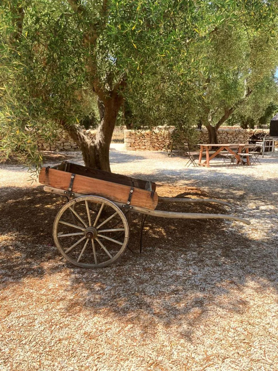 Garden in Boutique Hotel Masseria Sottomasi
