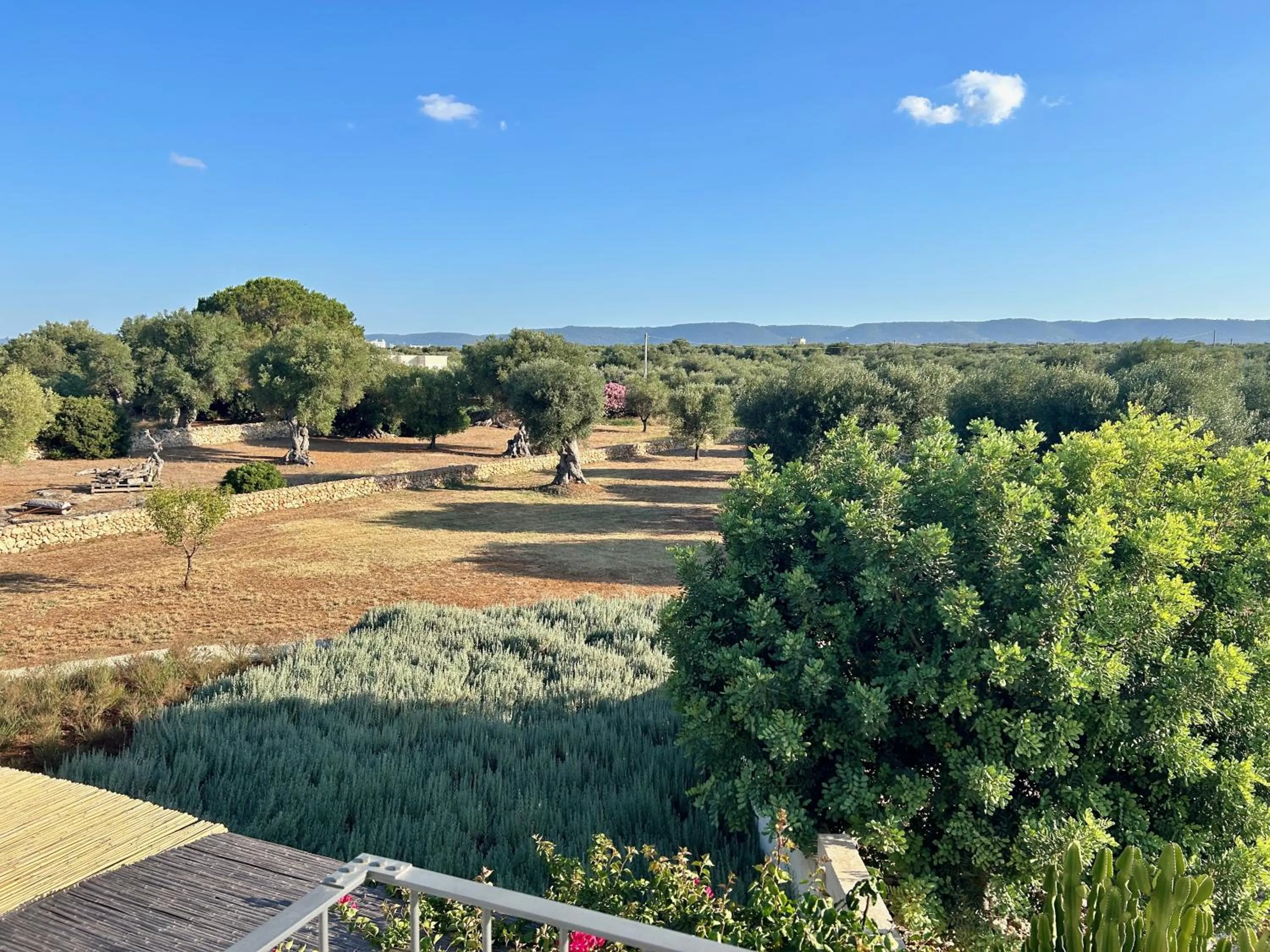 View (from property/room) in Boutique Hotel Masseria Sottomasi