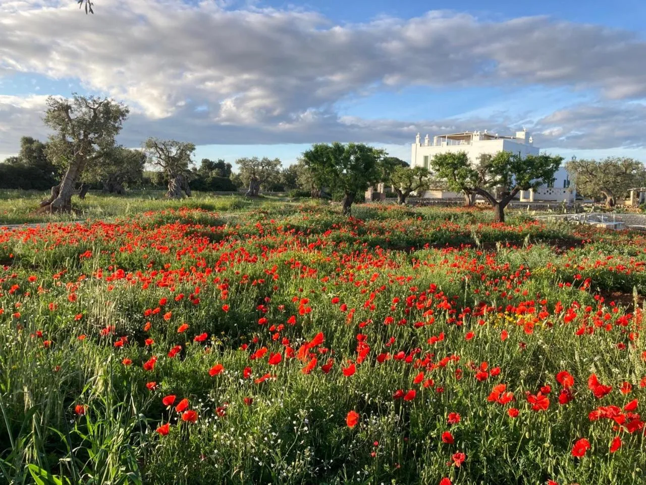 Garden in Boutique Hotel Masseria Sottomasi