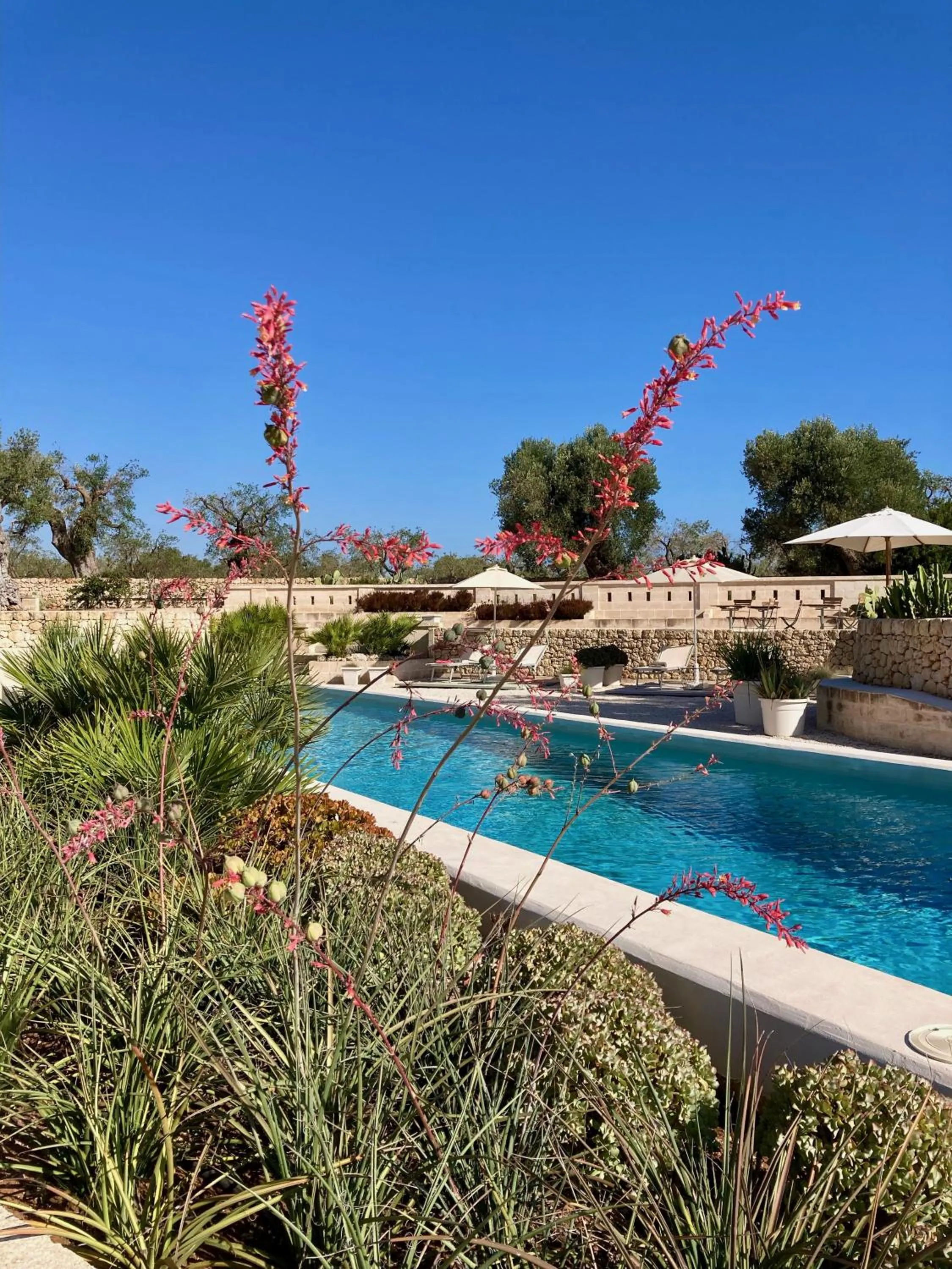 Swimming pool in Boutique Hotel Masseria Sottomasi