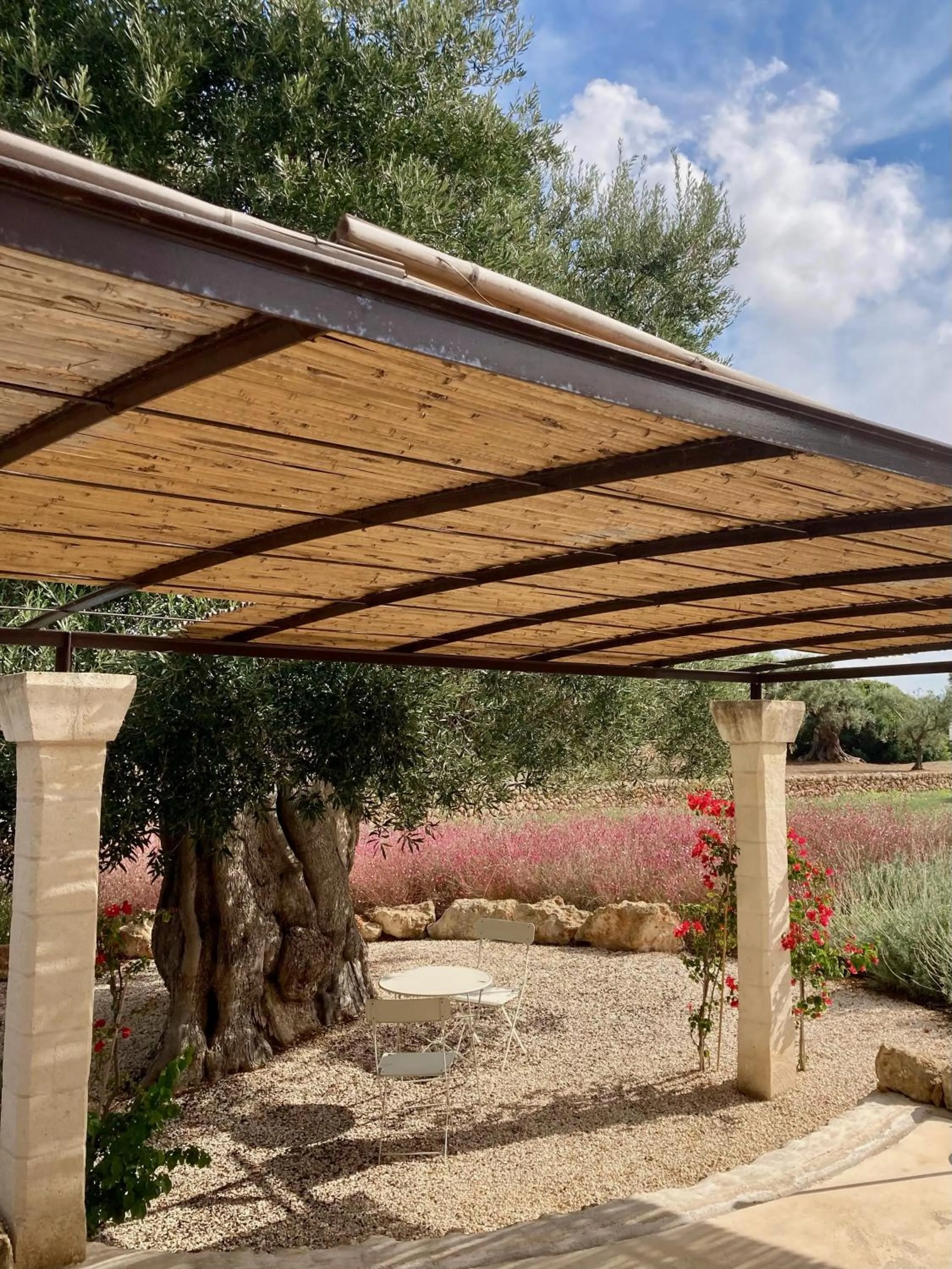 Balcony/Terrace in Boutique Hotel Masseria Sottomasi