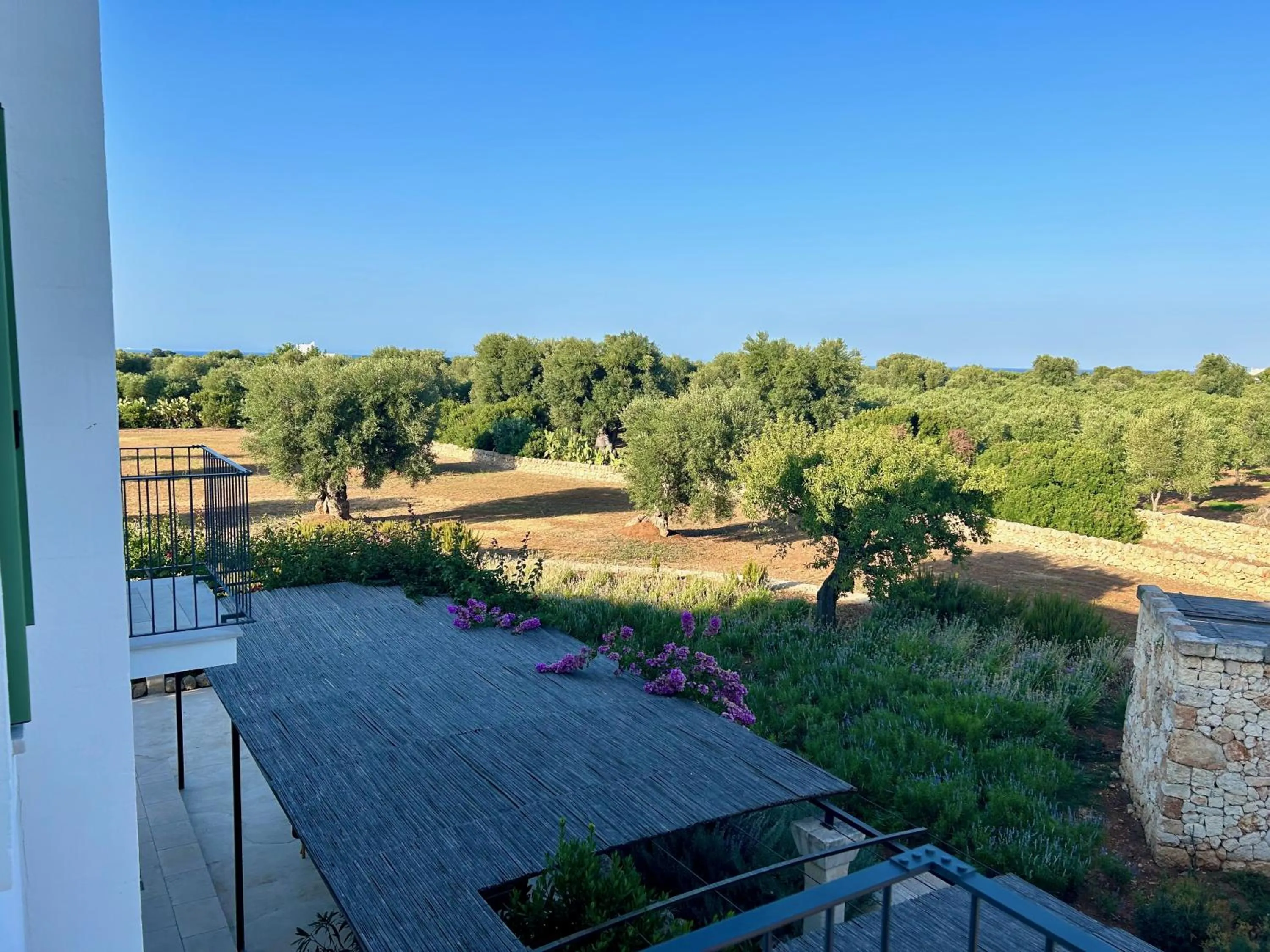 Garden view in Boutique Hotel Masseria Sottomasi