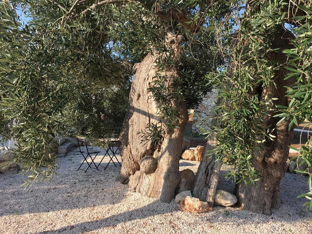 Natural landscape in Boutique Hotel Masseria Sottomasi