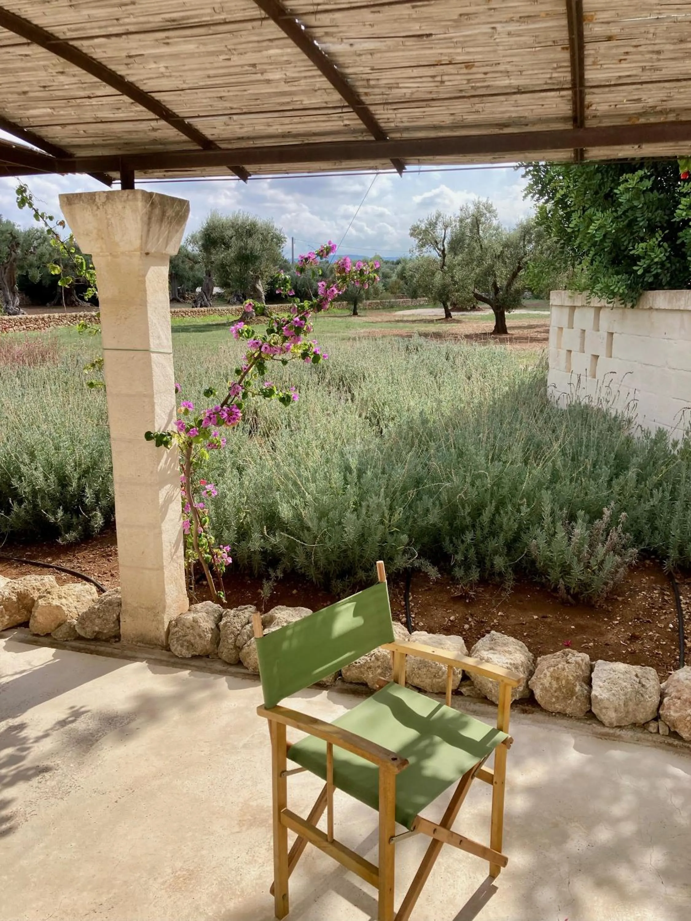 Balcony/Terrace in Boutique Hotel Masseria Sottomasi