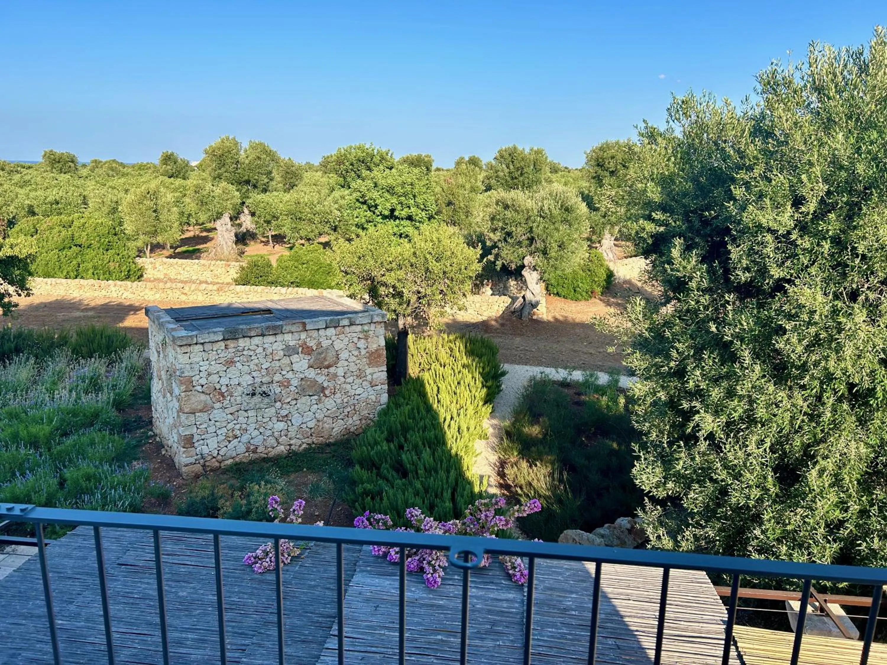View (from property/room) in Boutique Hotel Masseria Sottomasi