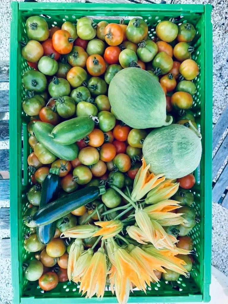 Garden in Boutique Hotel Masseria Sottomasi