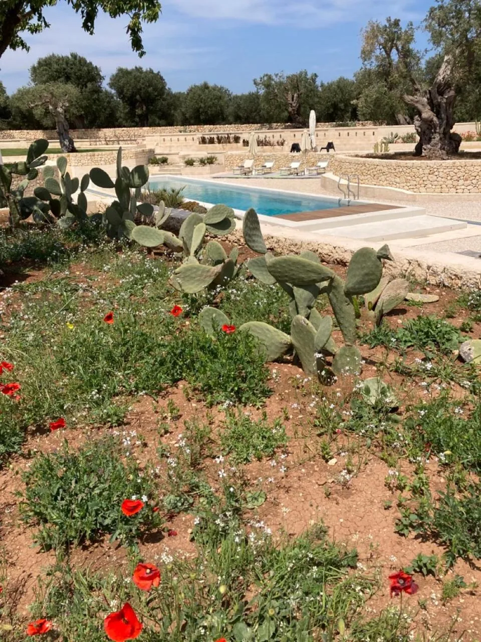 Garden in Boutique Hotel Masseria Sottomasi