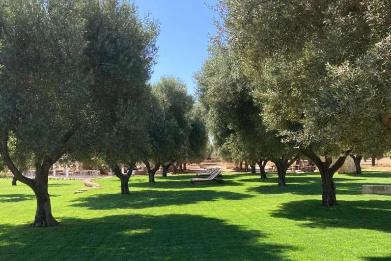Garden in Boutique Hotel Masseria Sottomasi