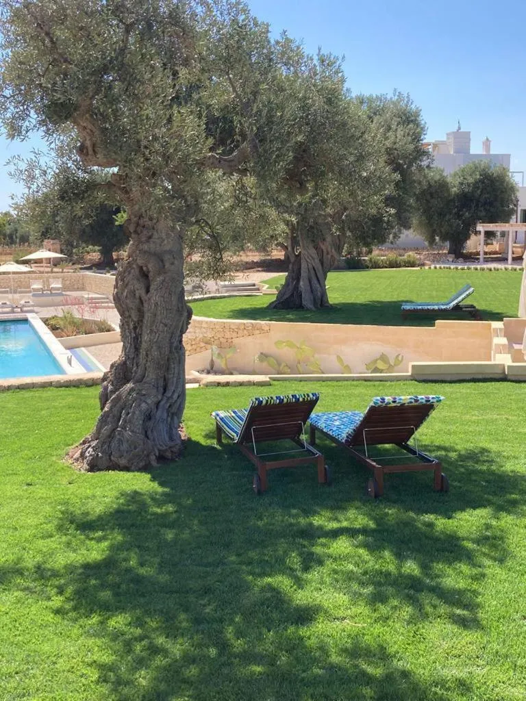 Garden in Boutique Hotel Masseria Sottomasi