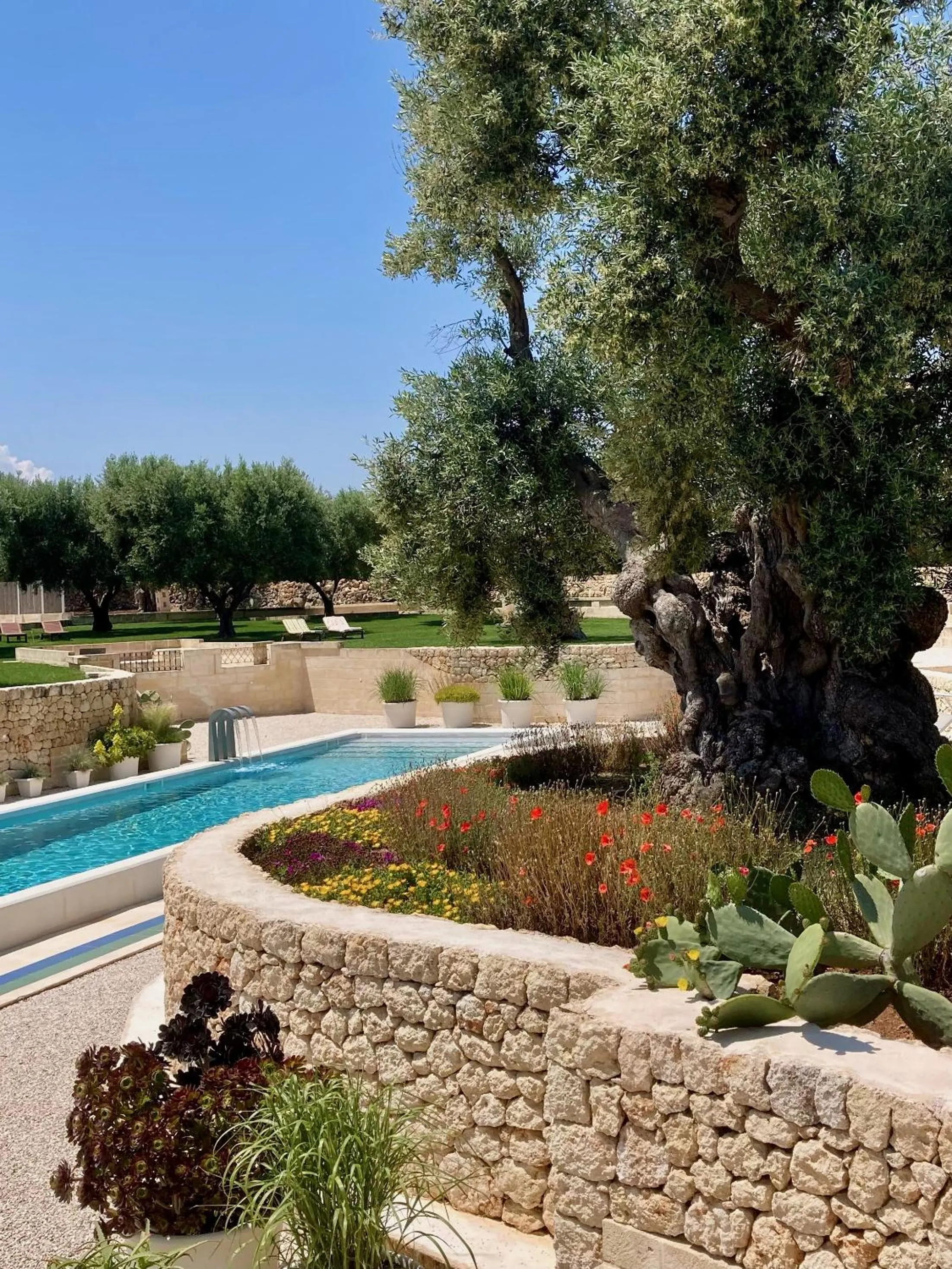 Swimming pool in Boutique Hotel Masseria Sottomasi