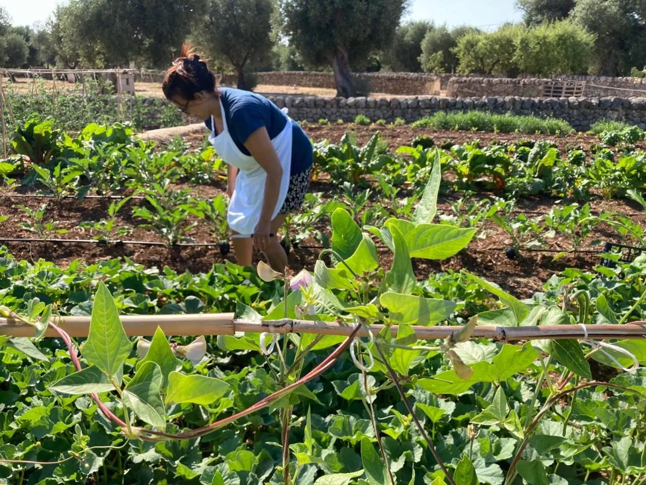 Garden in Boutique Hotel Masseria Sottomasi