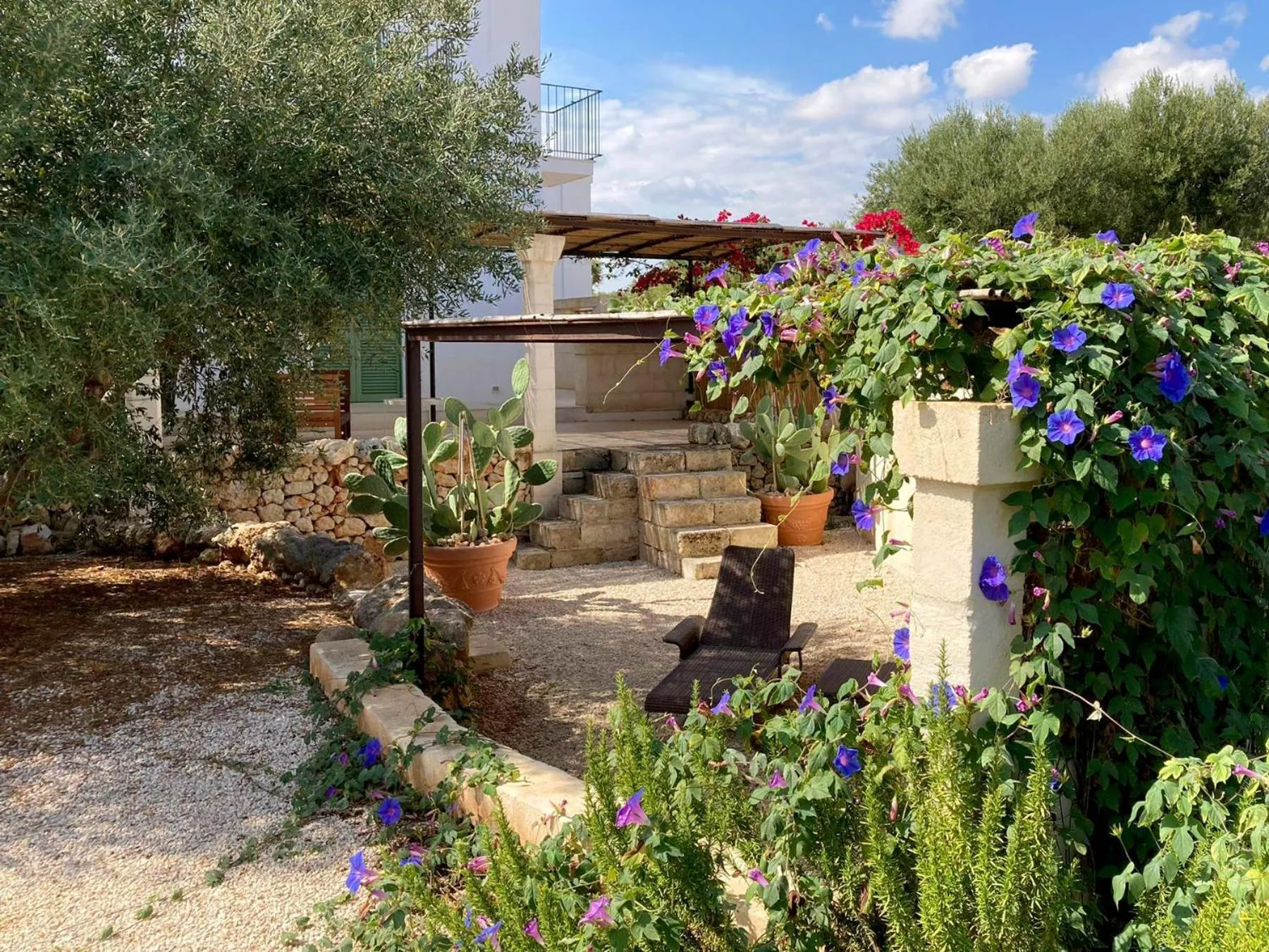 Garden in Boutique Hotel Masseria Sottomasi